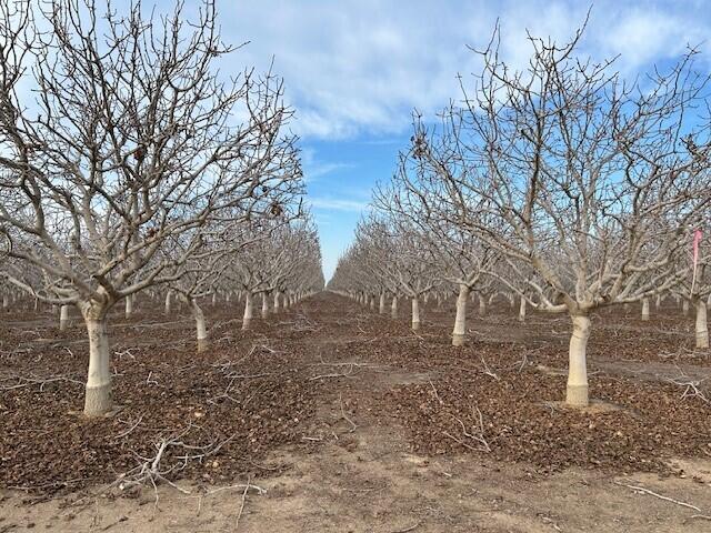 0 Bassett Ave, Delano, CA 93215