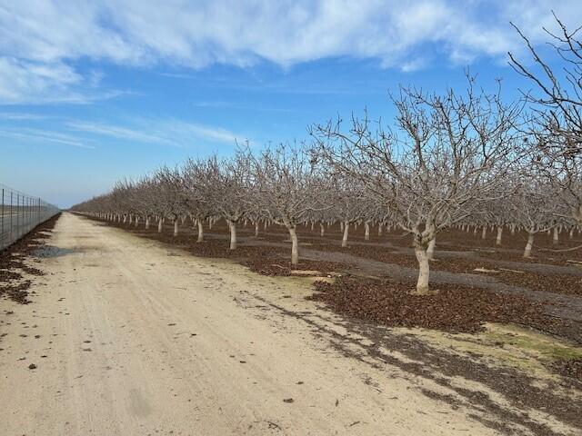 0 Bassett Ave, Delano, CA 93215