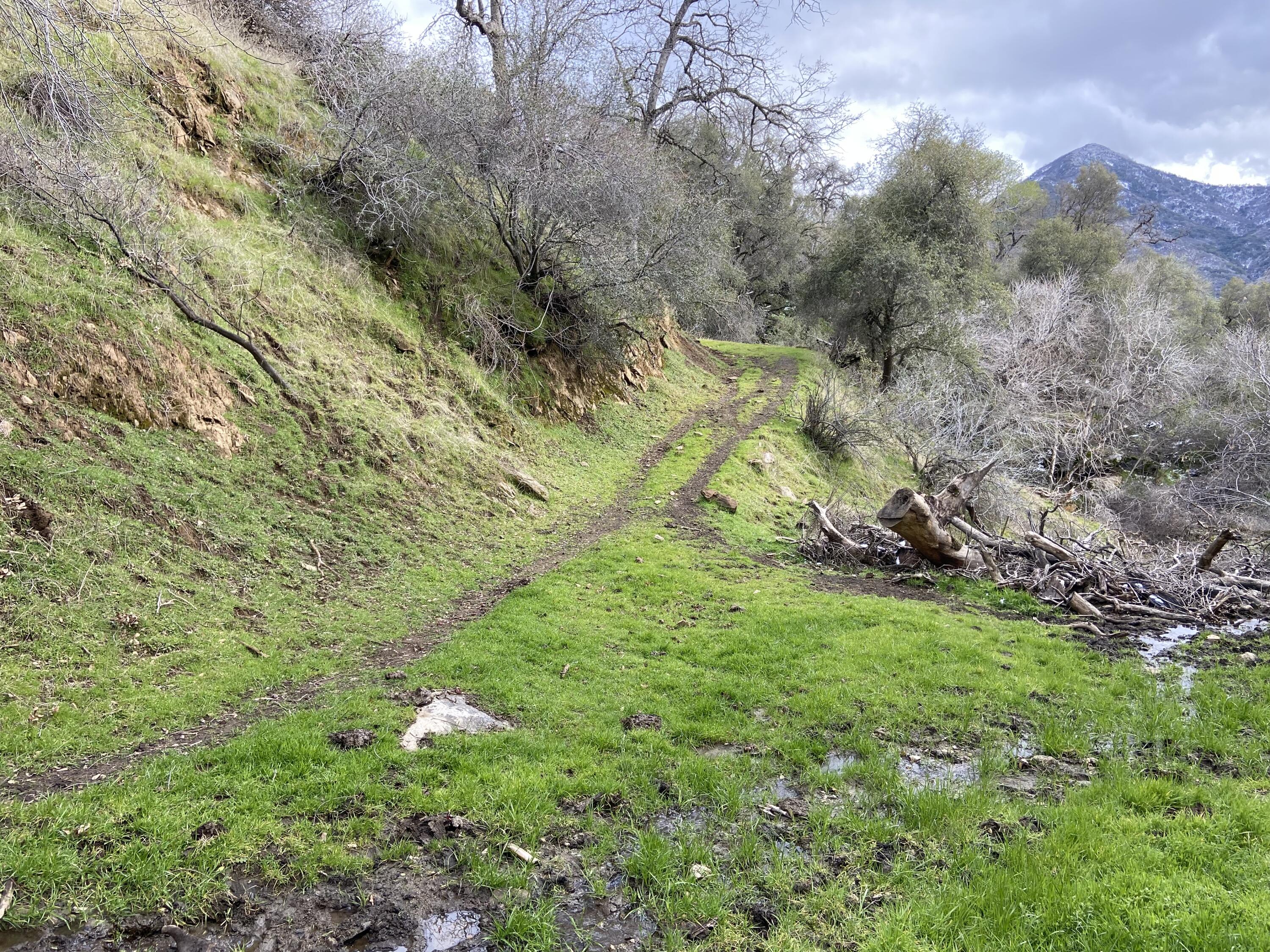 0 South Fork Dr, Three Rivers, CA 93271