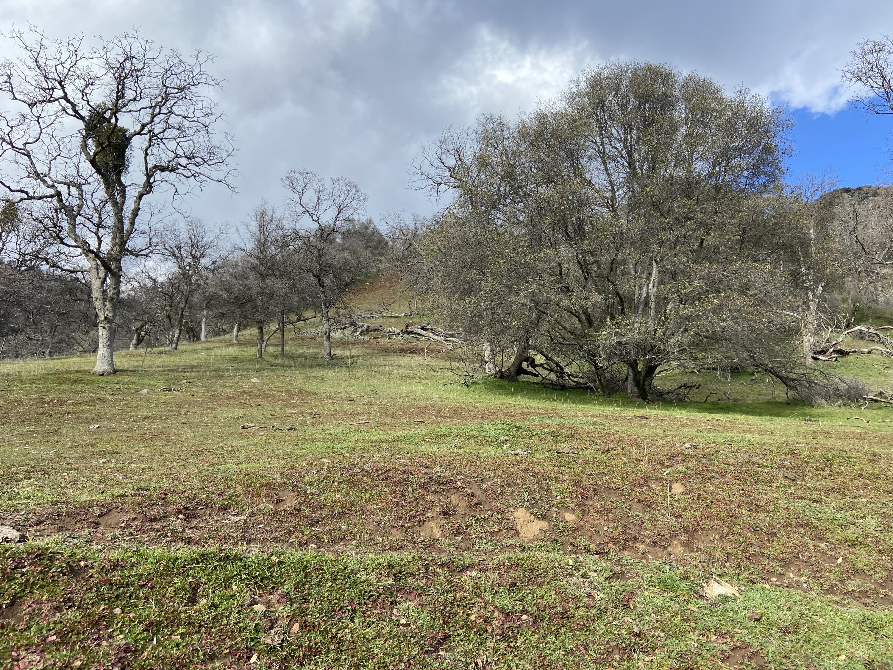 0 South Fork Dr, Three Rivers, CA 93271