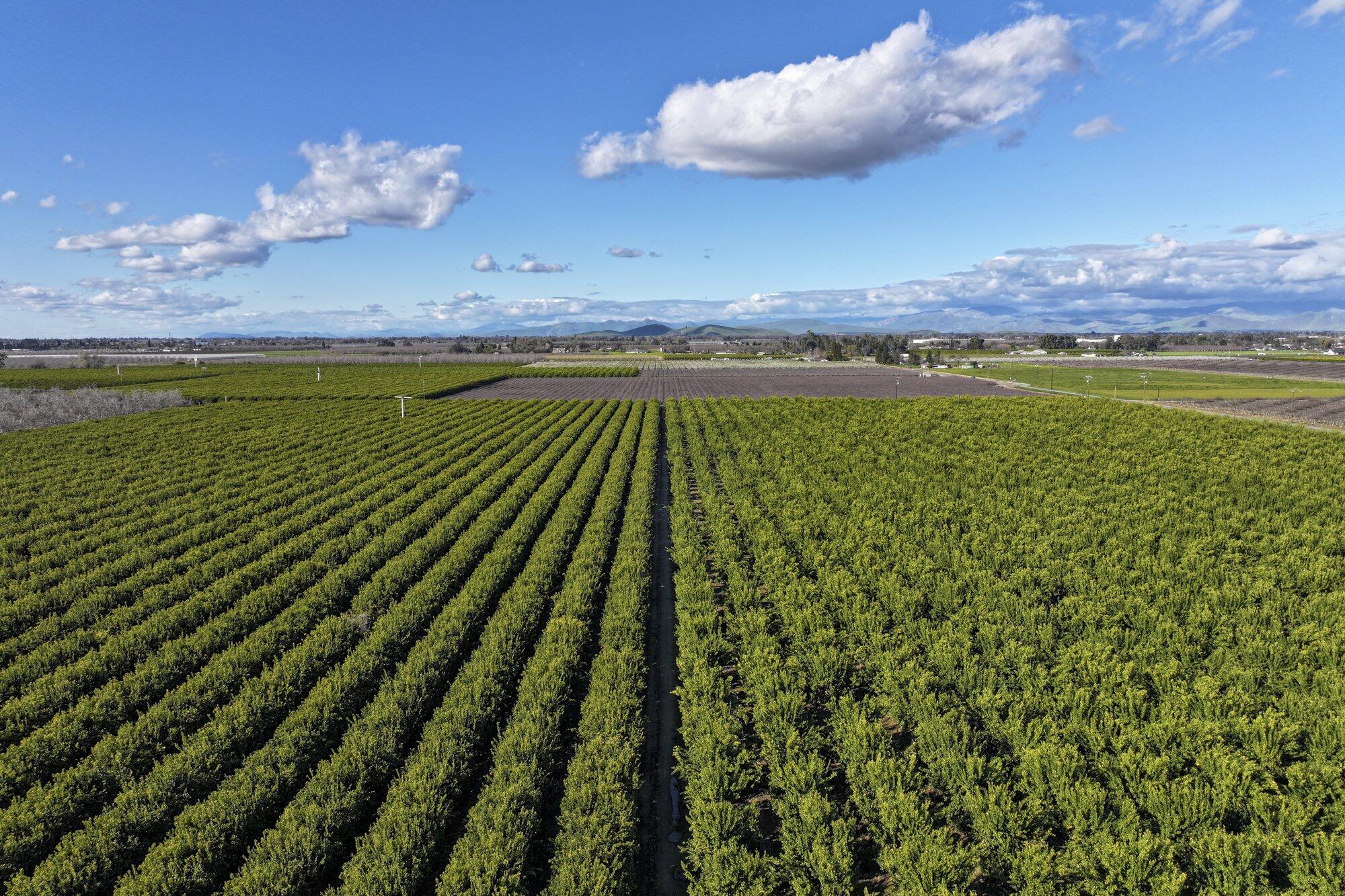 0 Visalia Rd, Exeter, CA 93221