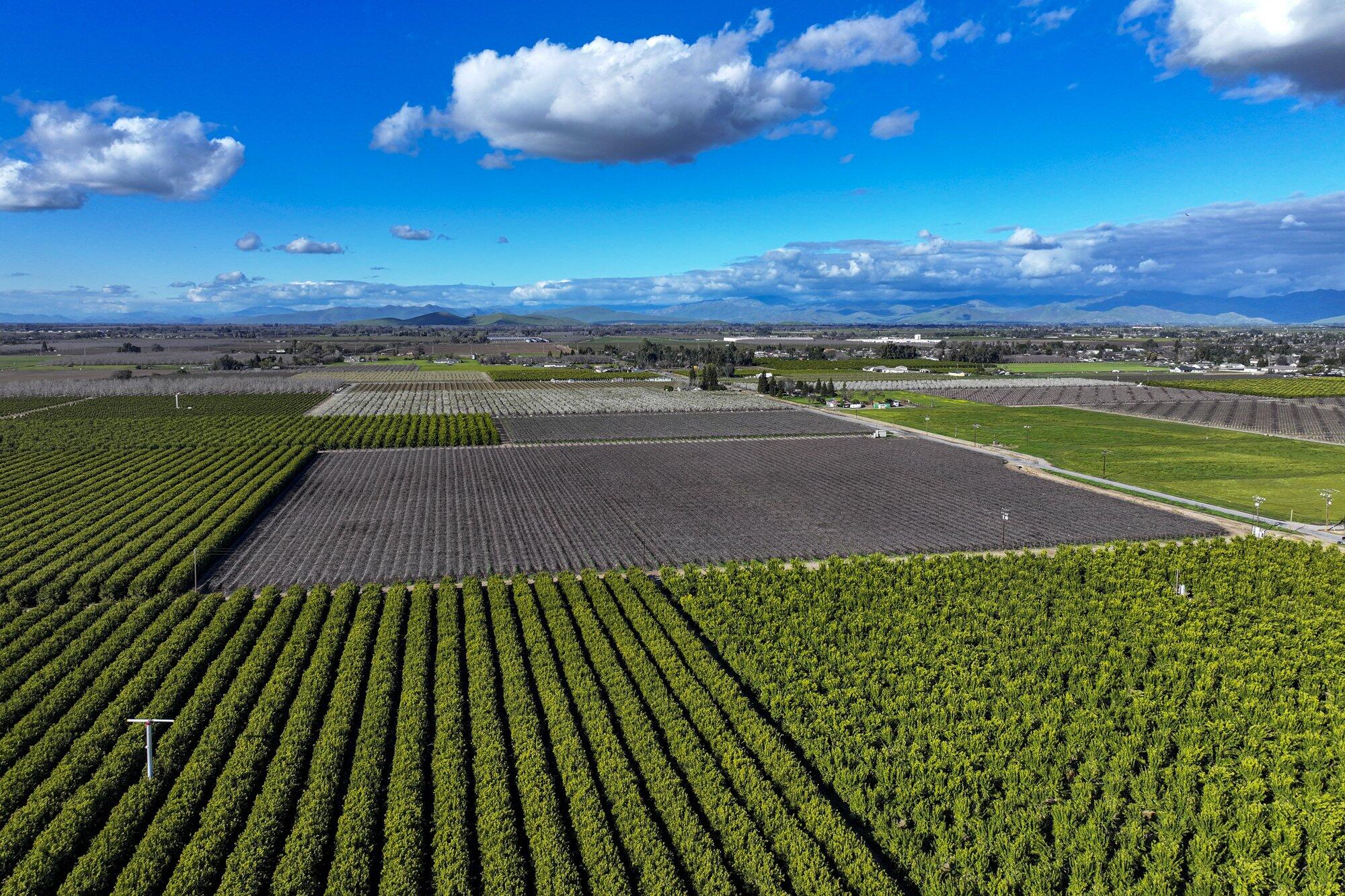 0 Visalia Rd, Exeter, CA 93221