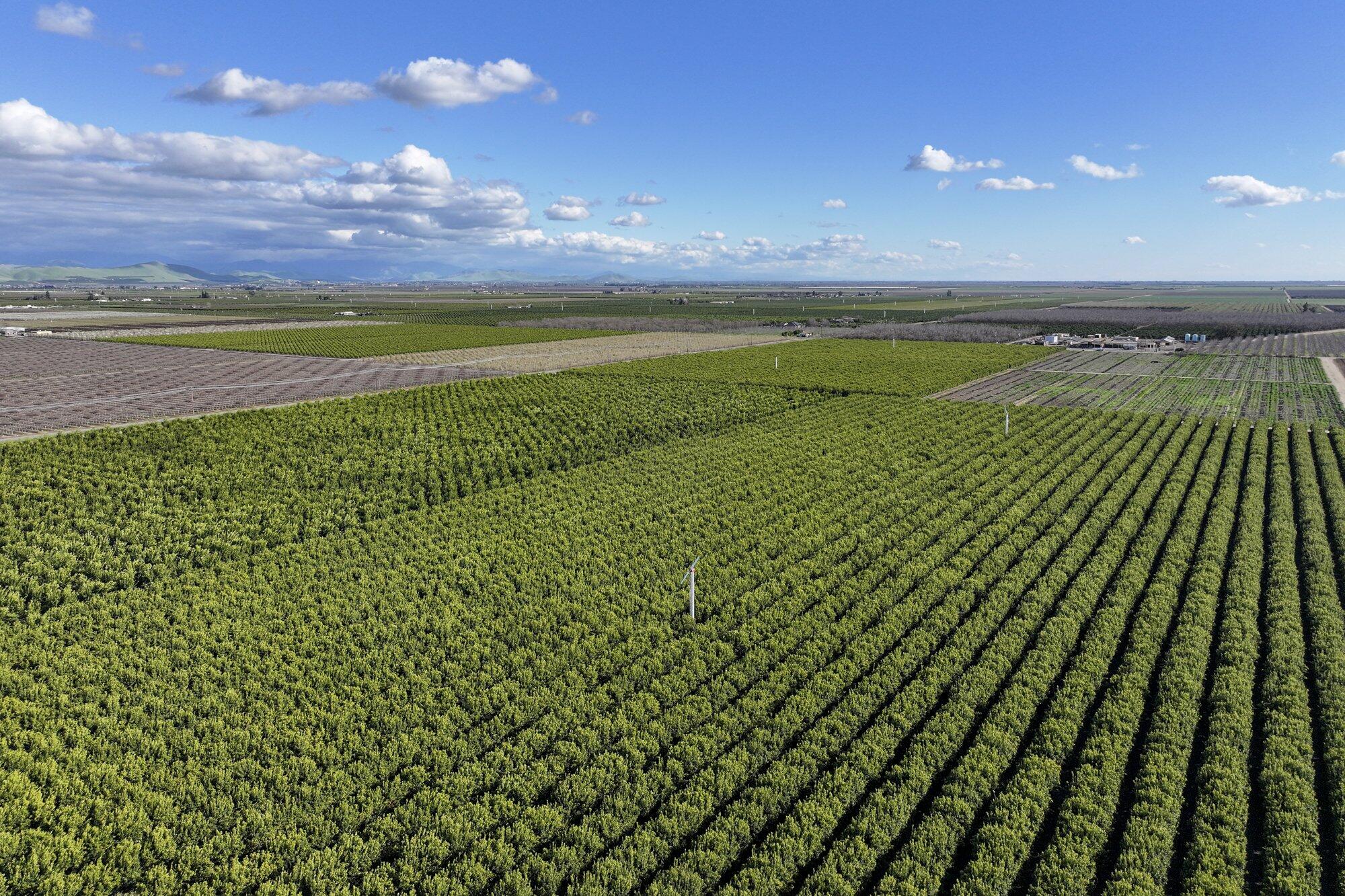 0 Visalia Rd, Exeter, CA 93221