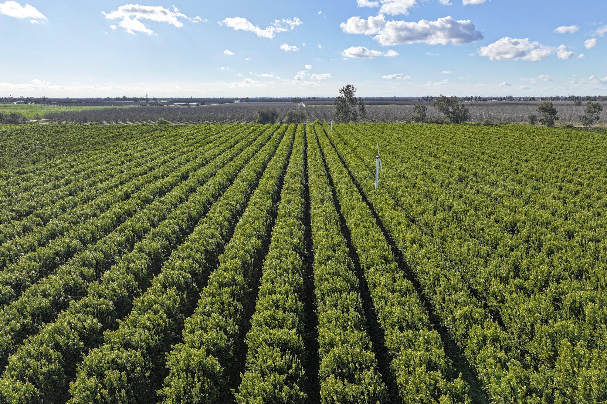 0 Visalia Rd, Exeter, CA 93221