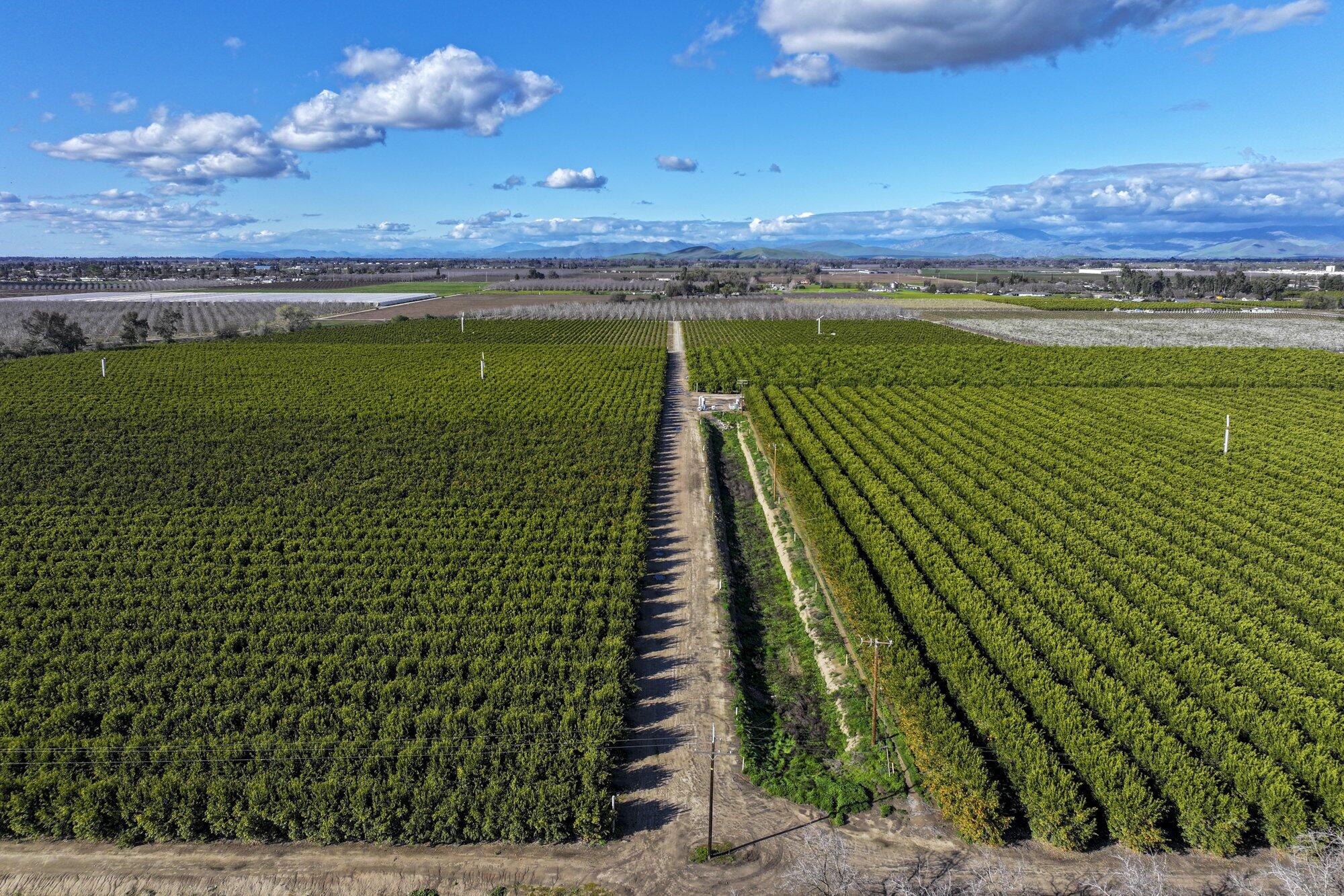 0 Visalia Rd, Exeter, CA 93221