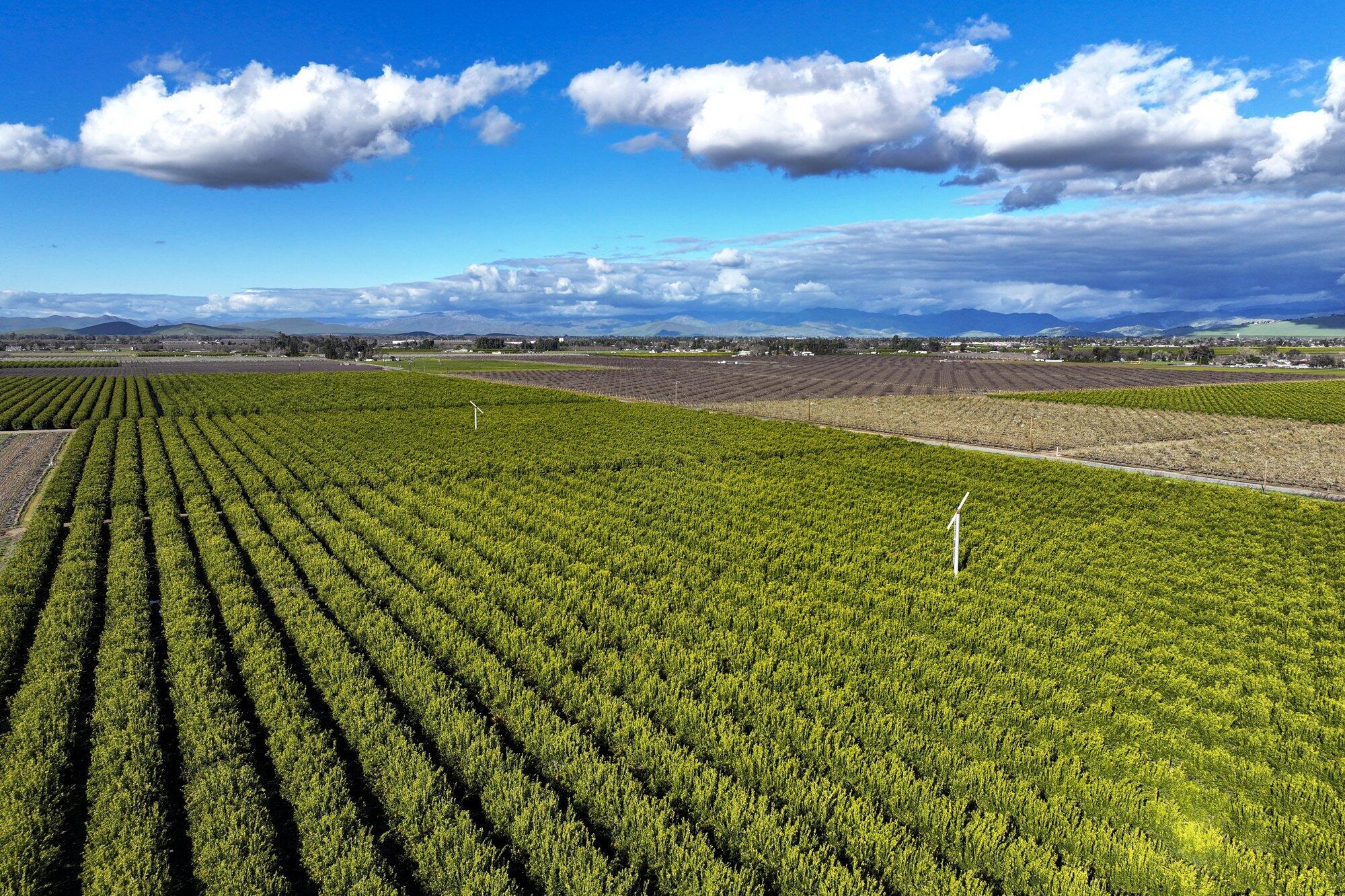 0 Visalia Rd, Exeter, CA 93221