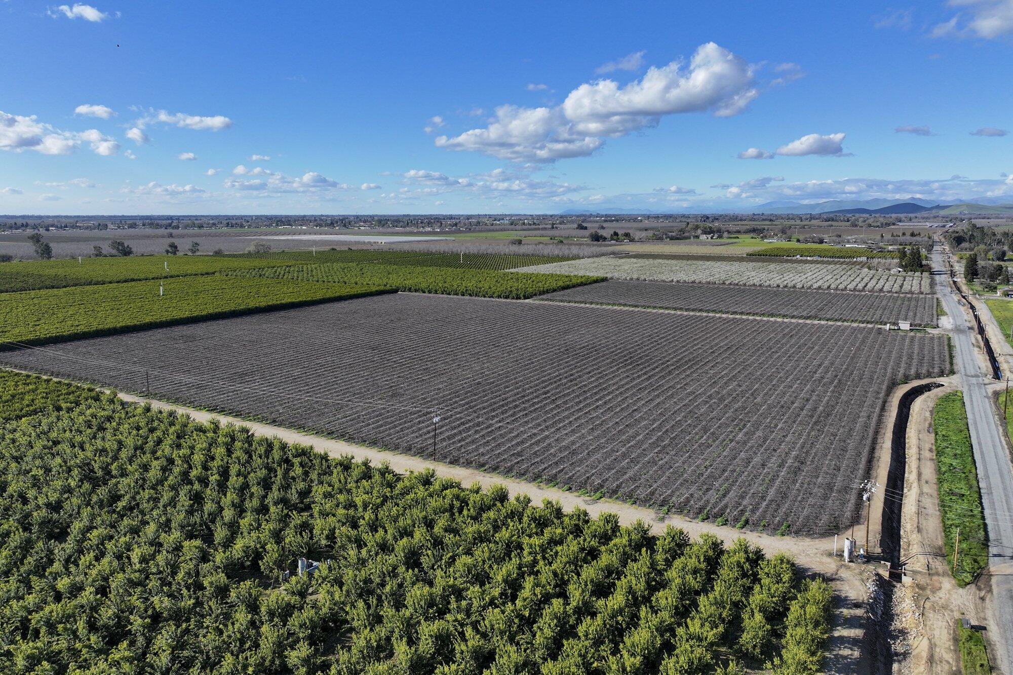 0 Visalia Rd, Exeter, CA 93221