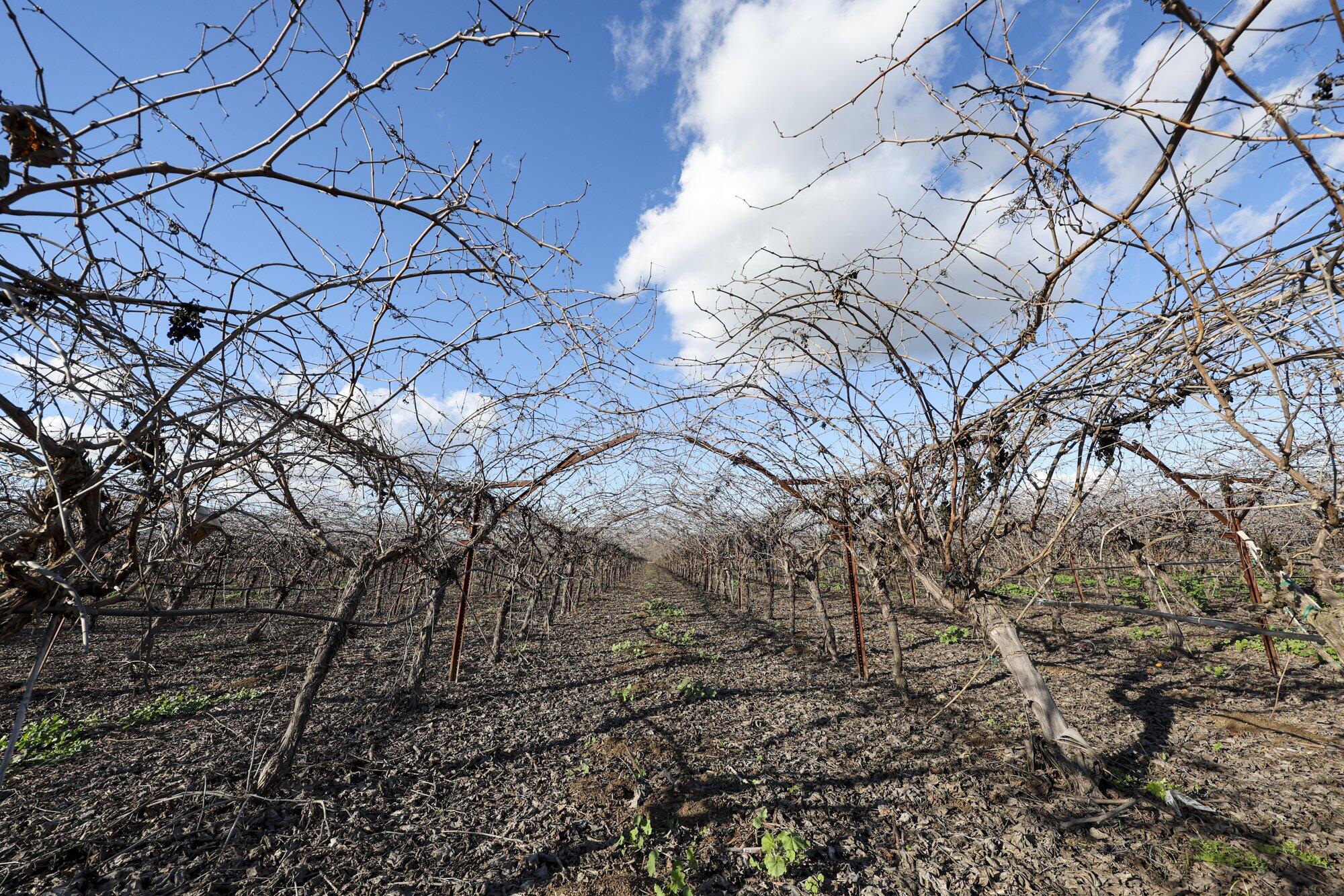 0 Visalia Rd, Exeter, CA 93221