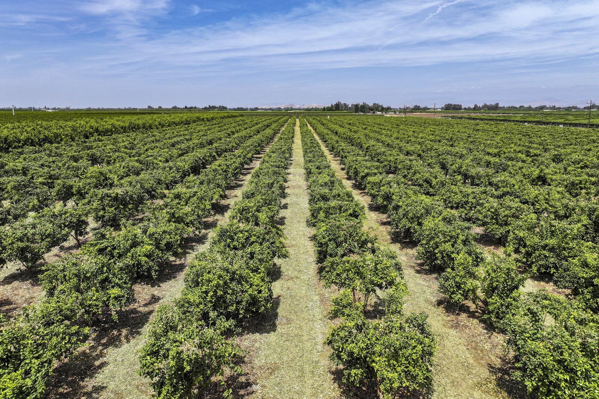 0 Visalia Rd, Exeter, CA 93221