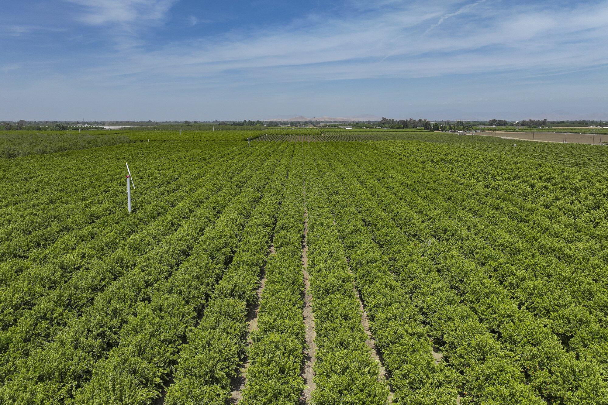 0 Visalia Rd, Exeter, CA 93221