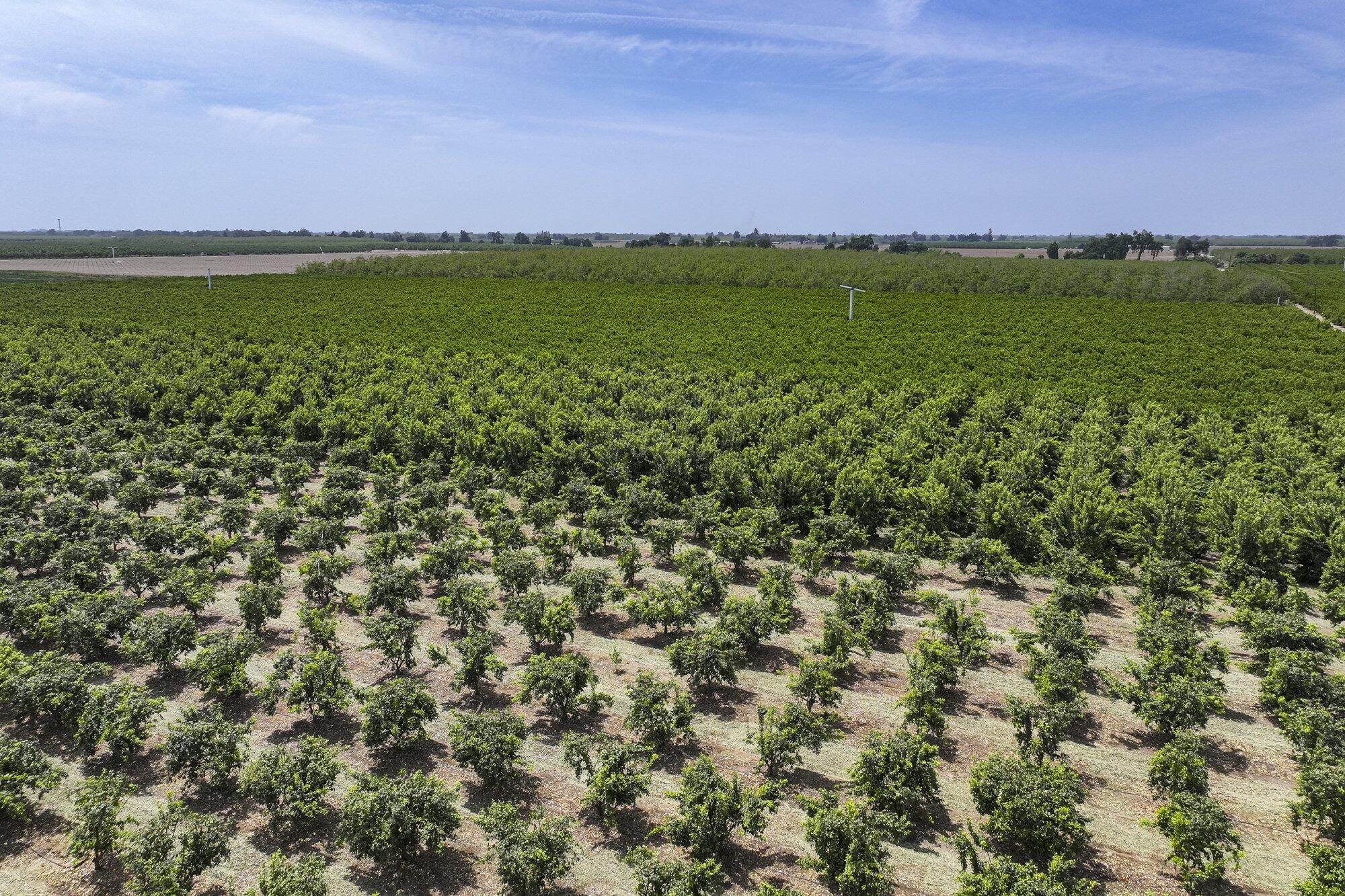 0 Visalia Rd, Exeter, CA 93221