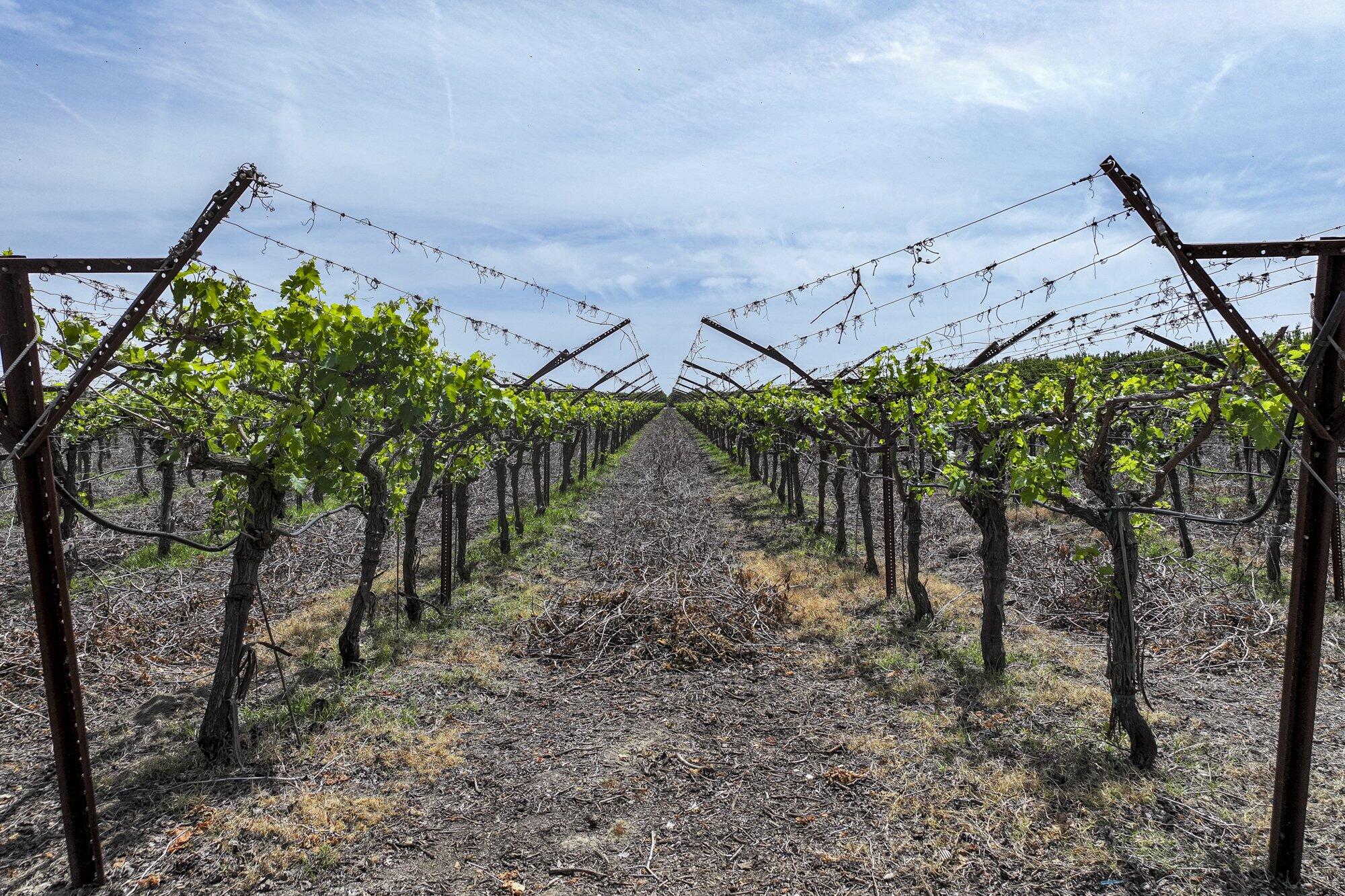 0 Visalia Rd, Exeter, CA 93221