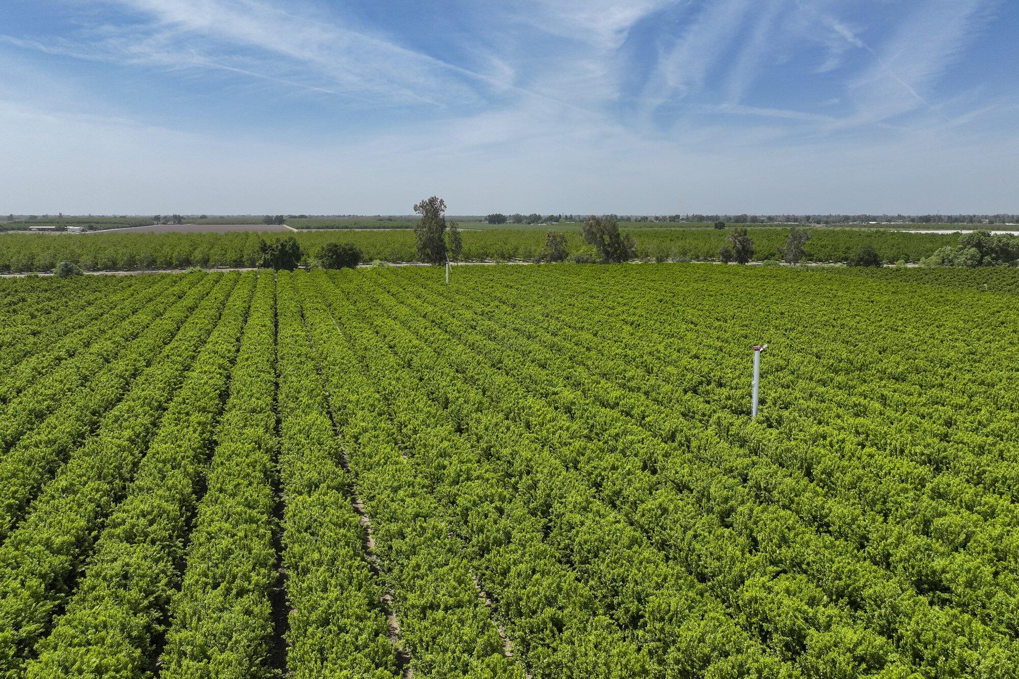 0 Visalia Rd, Exeter, CA 93221