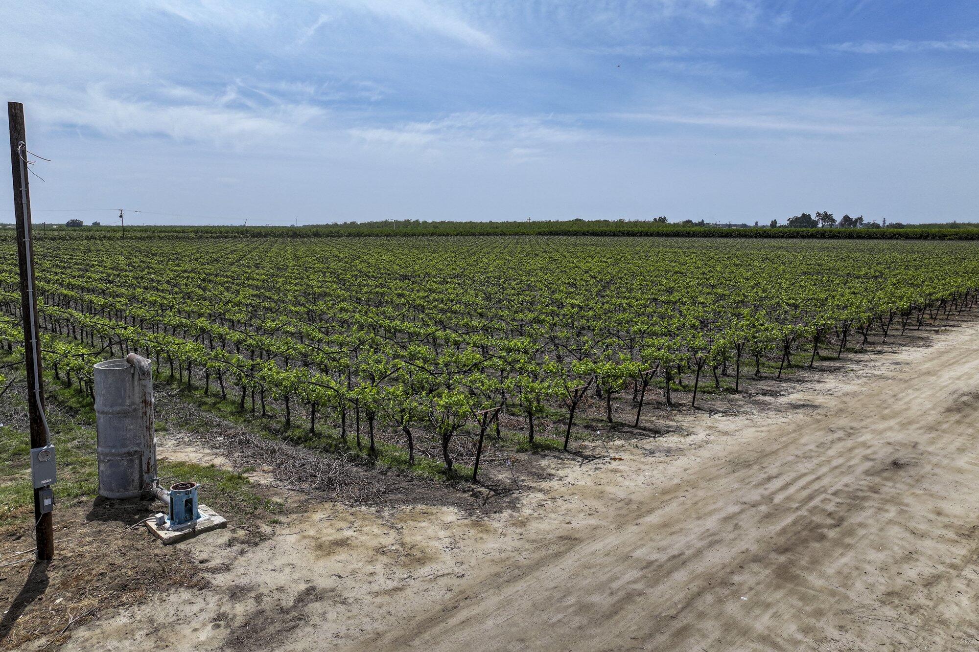 0 Visalia Rd, Exeter, CA 93221