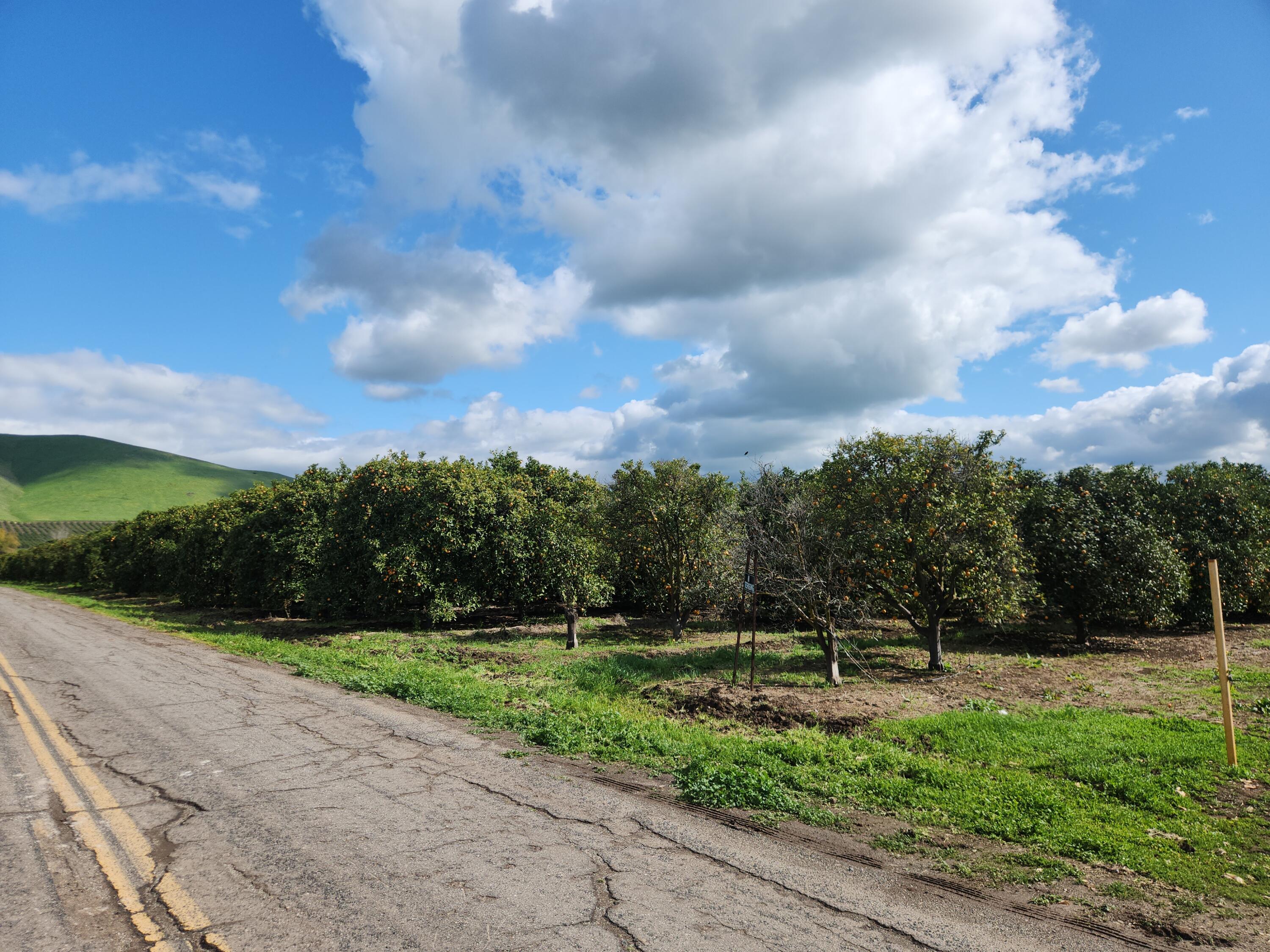 25375 Ave 208 #208, Strathmore, CA 93267