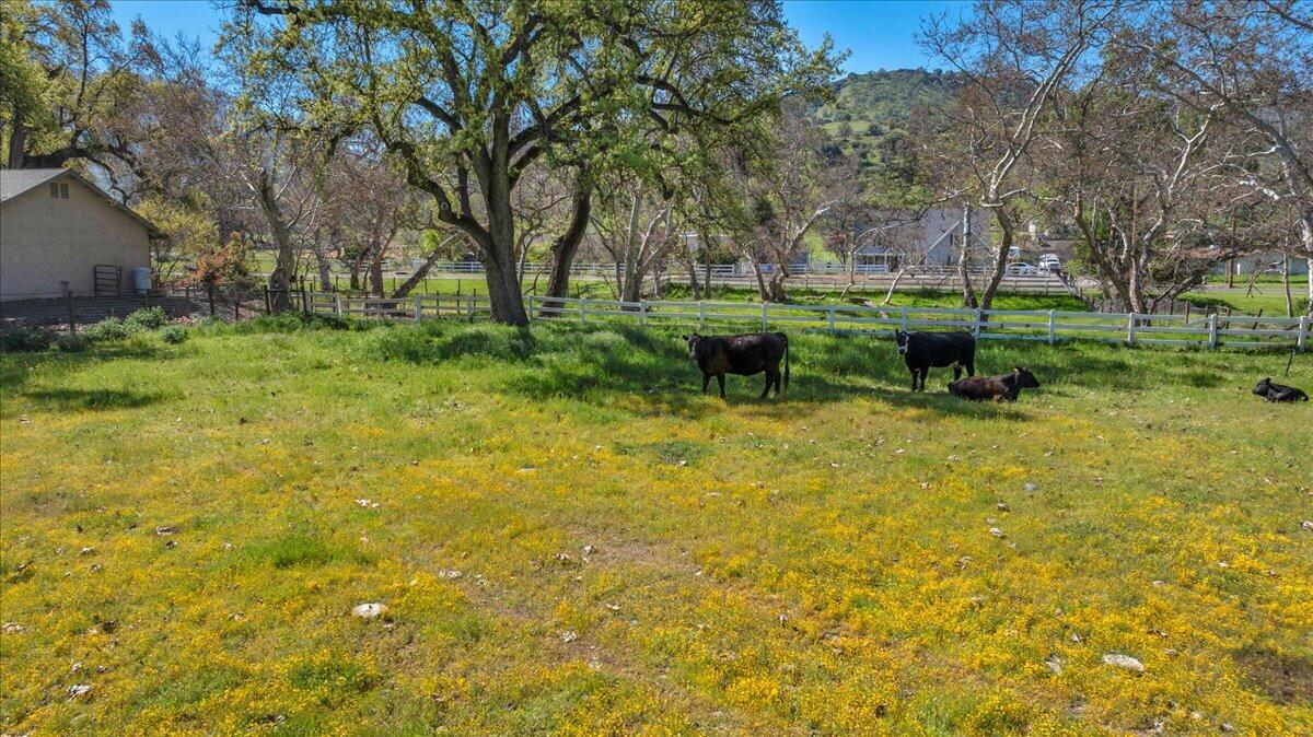 6102 Elwood Rd, Sanger, CA 93657