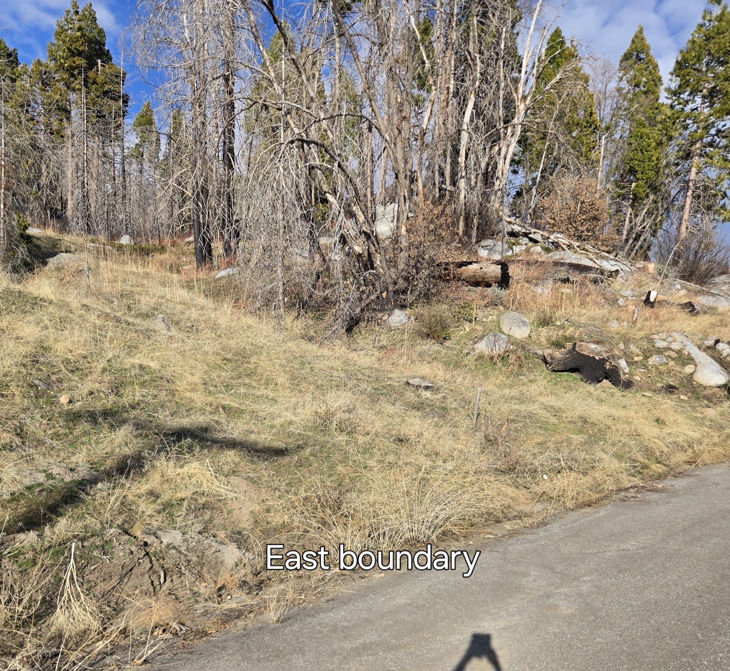 52866 Alpine Dr, Springville, CA 93265