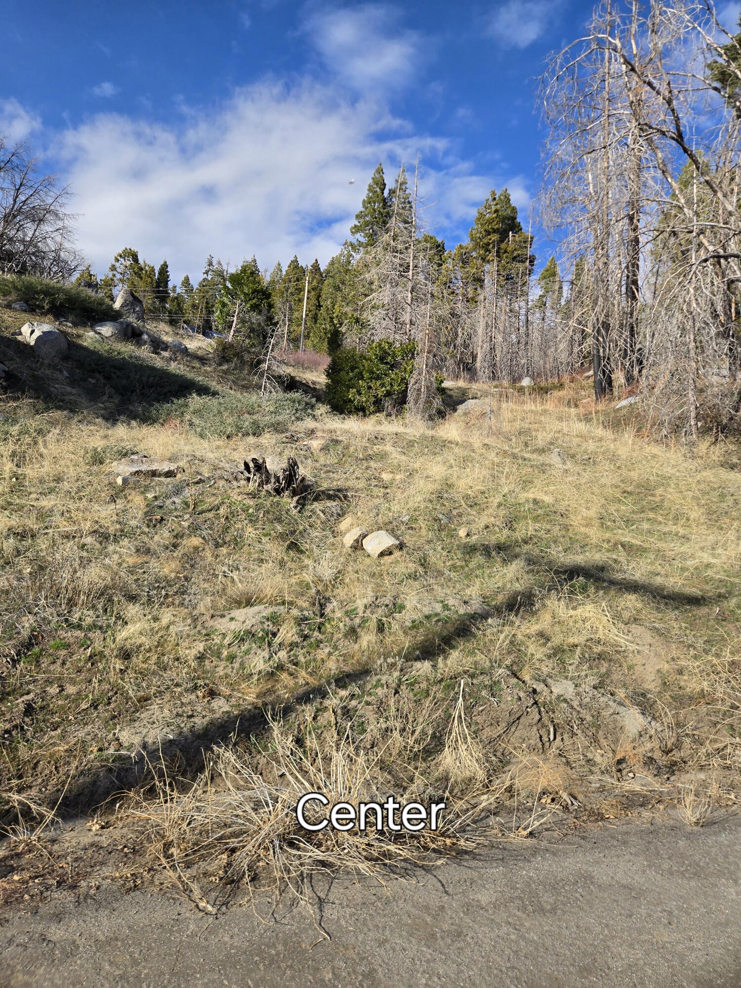 52866 Alpine Dr, Springville, CA 93265