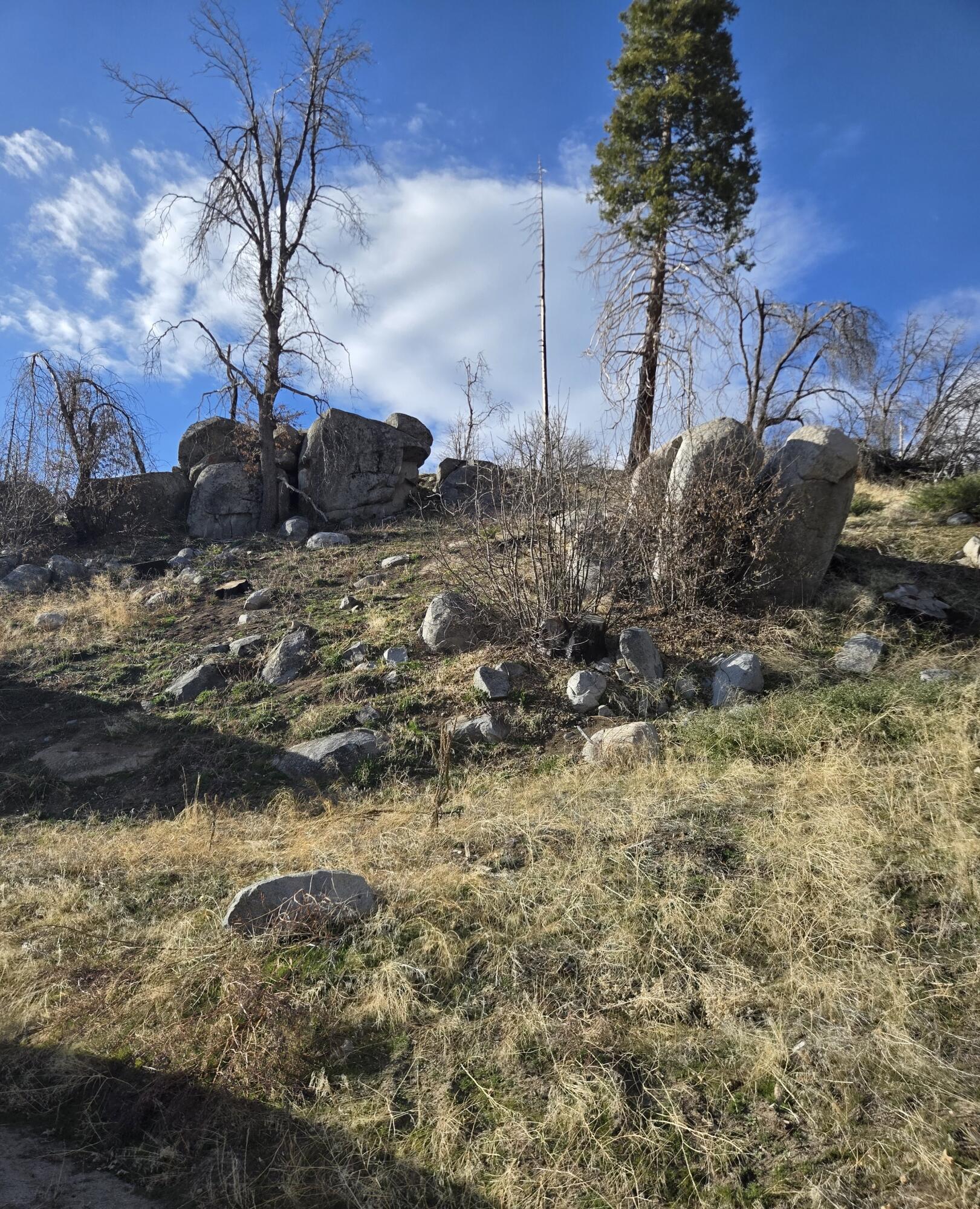 52866 Alpine Dr, Springville, CA 93265