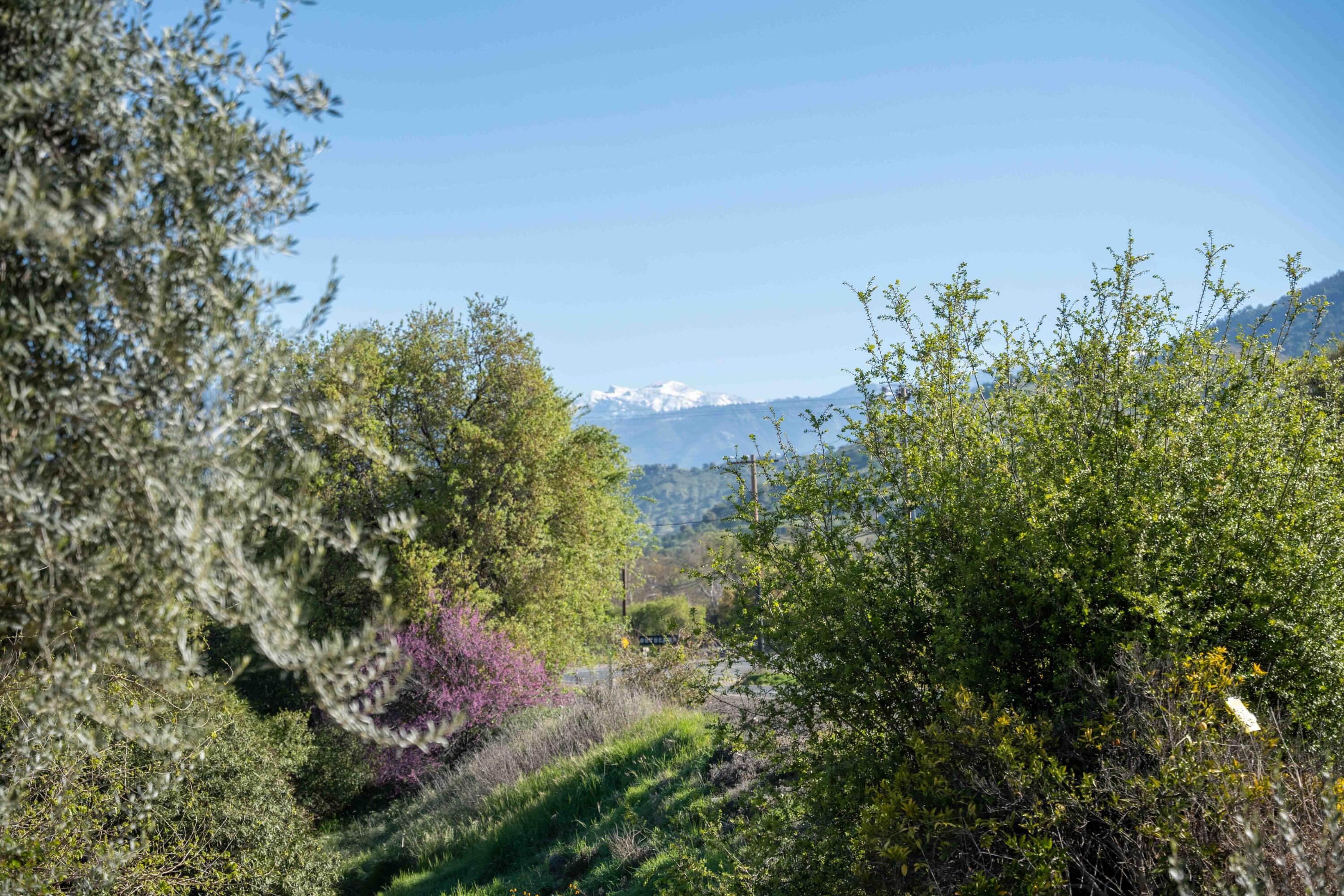 40311 Sierra Dr, Three Rivers, CA 93271