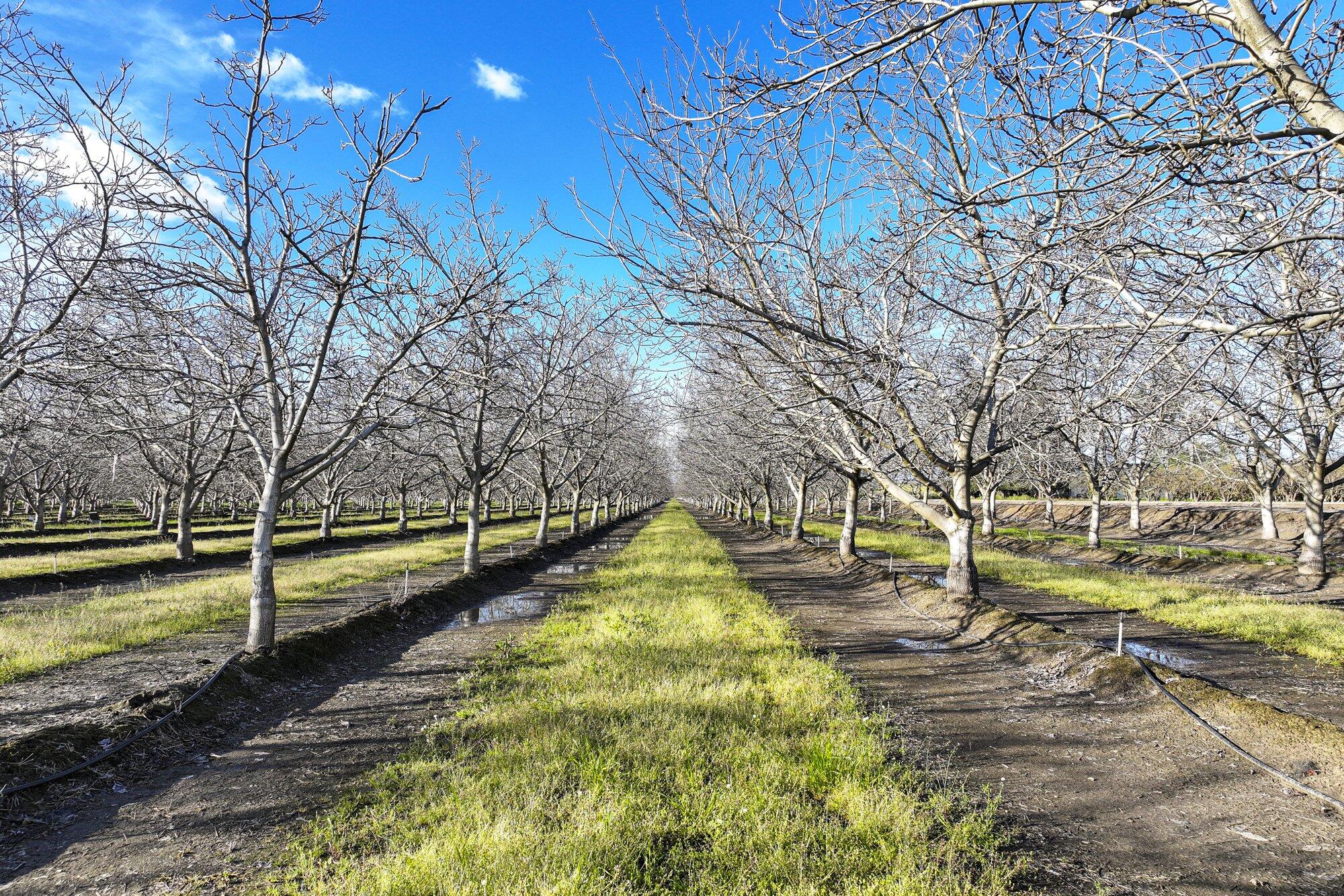 3012 N Oakmore Rd, Tulare, CA 93274