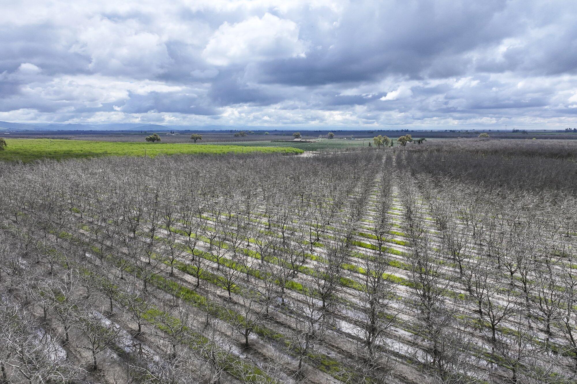 0 Road 180, Strathmore, CA 93267