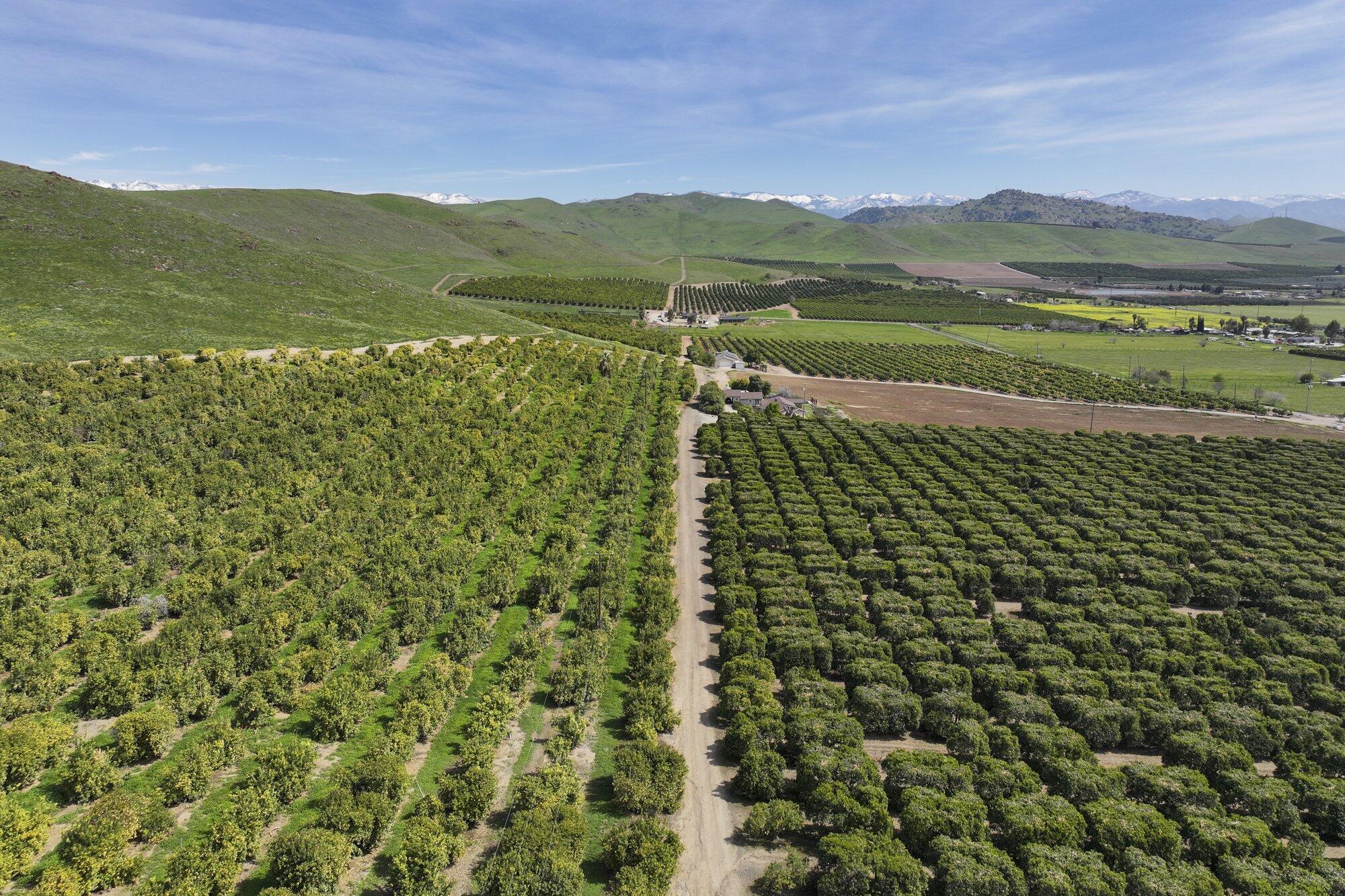 0 W Reid Ave, Porterville, CA 93257