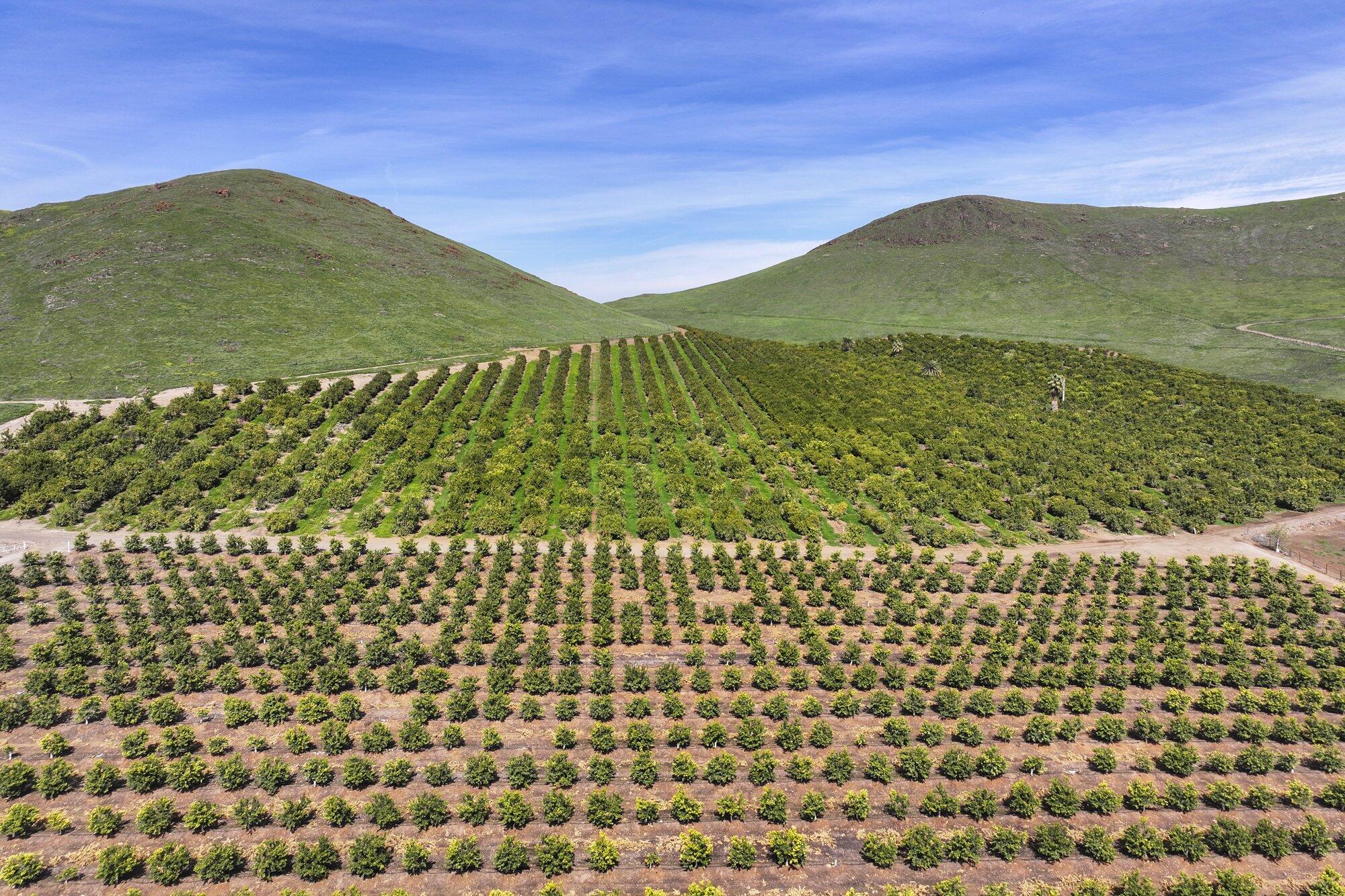 0 W Reid Ave, Porterville, CA 93257