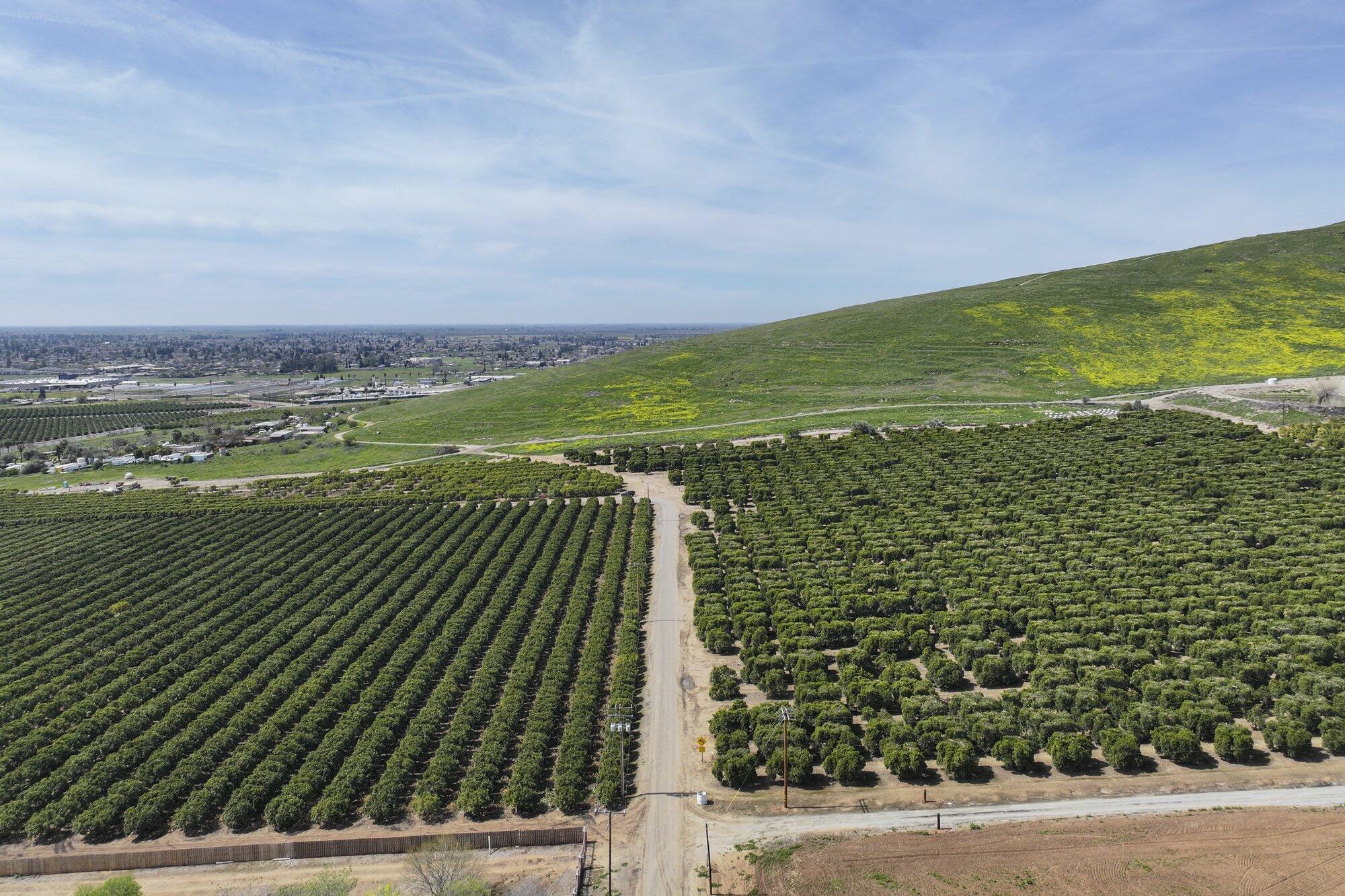 0 W Reid Ave, Porterville, CA 93257