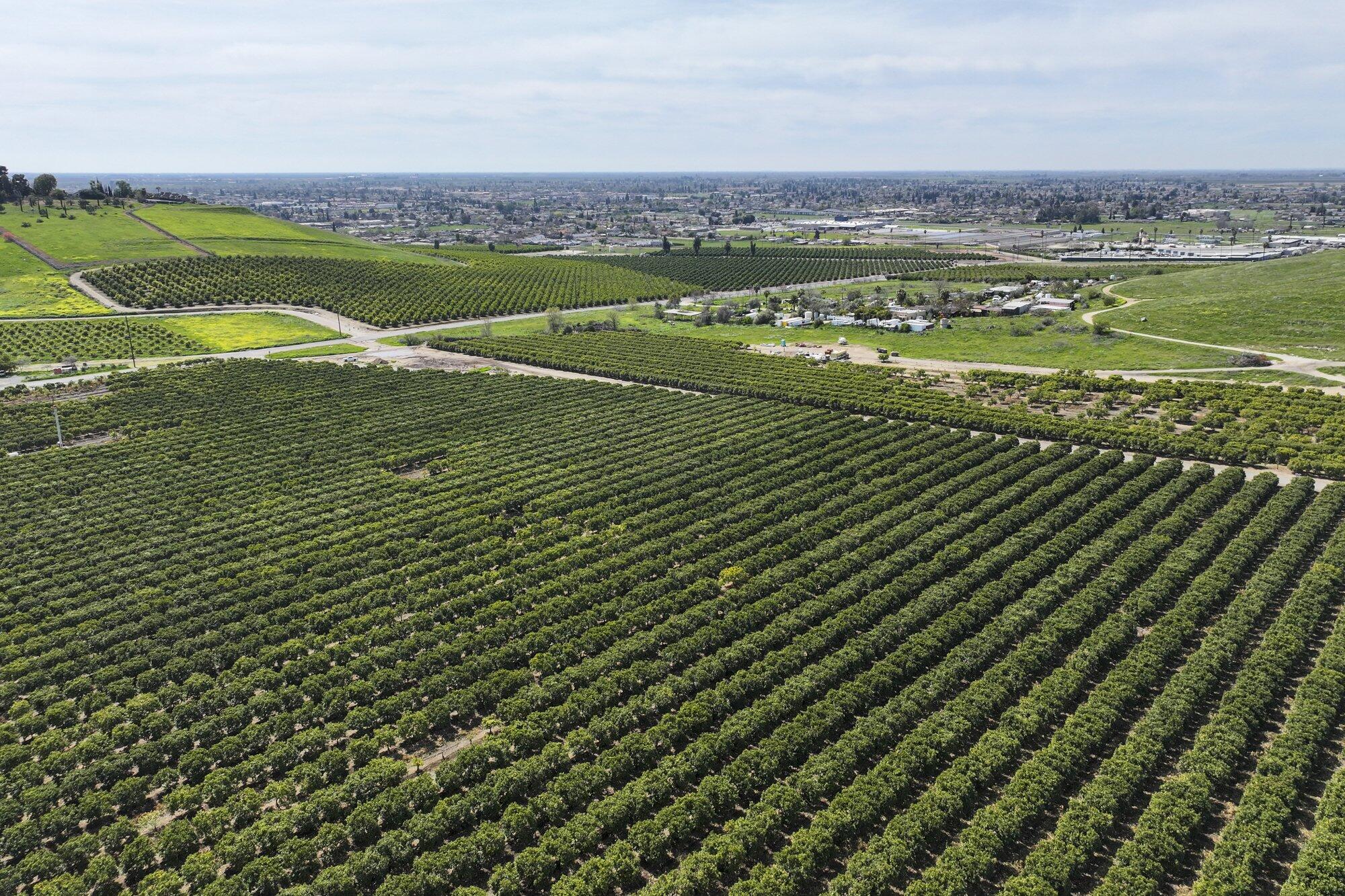 0 W Reid Ave, Porterville, CA 93257