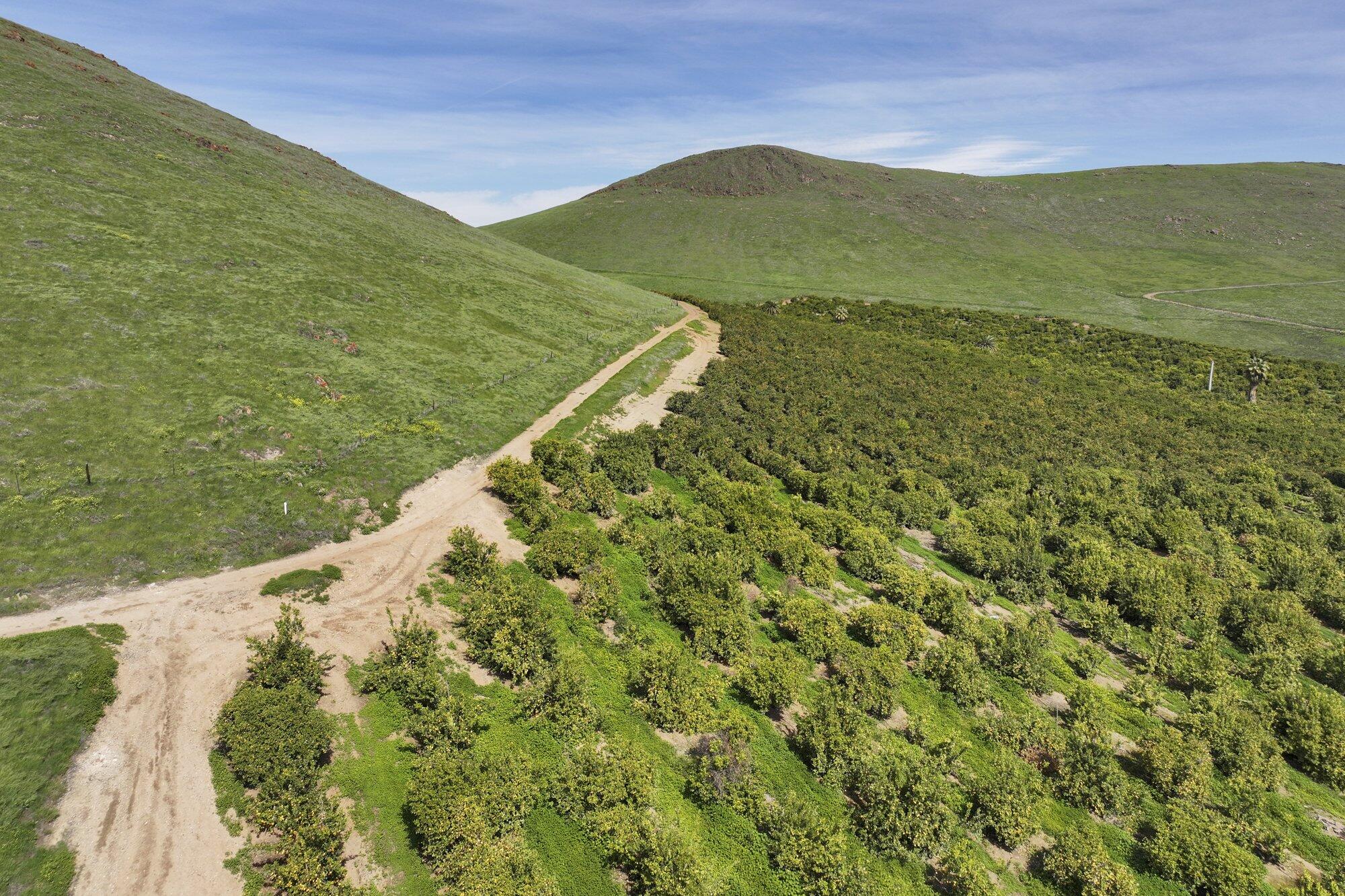 0 W Reid Ave, Porterville, CA 93257