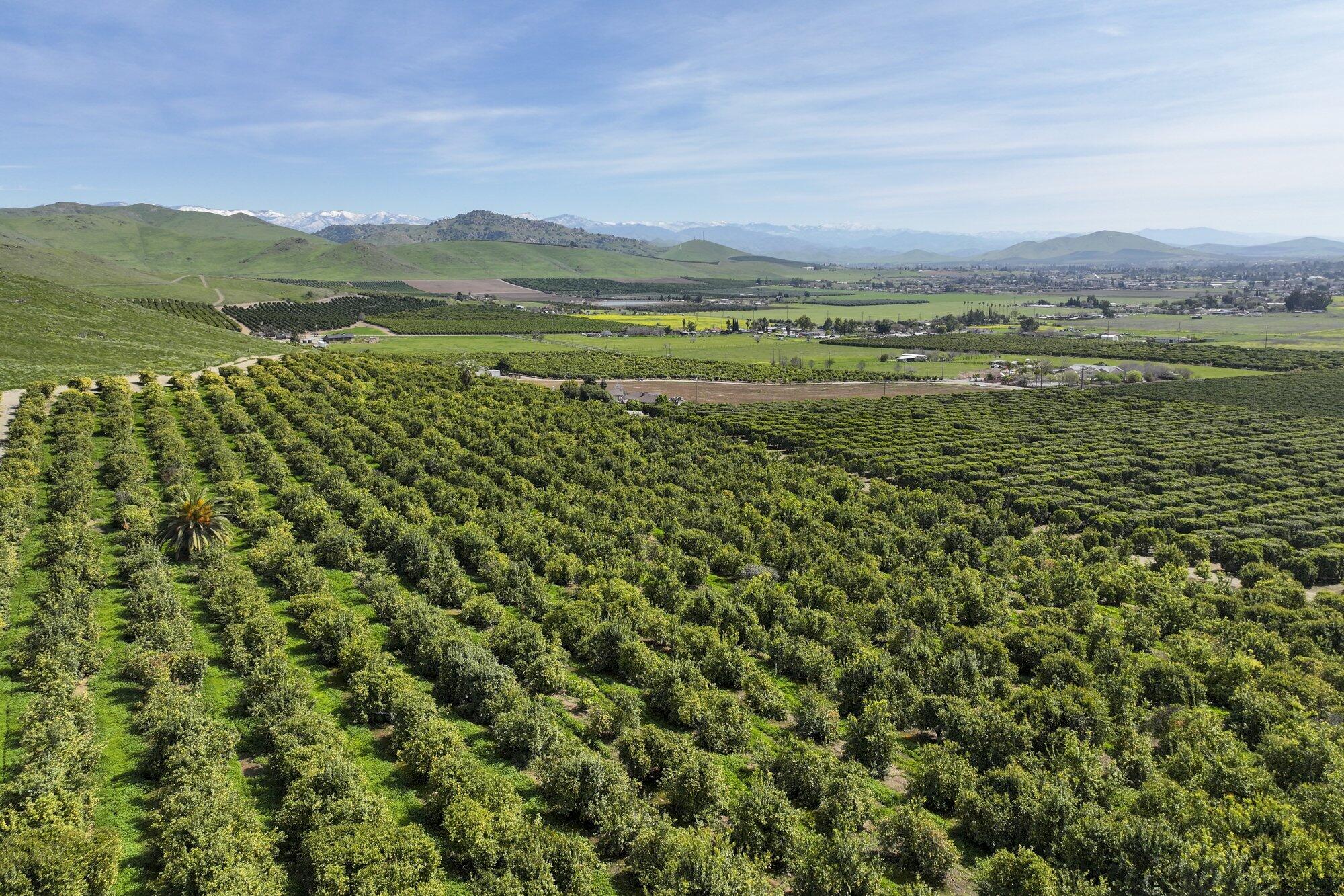 0 W Reid Ave, Porterville, CA 93257