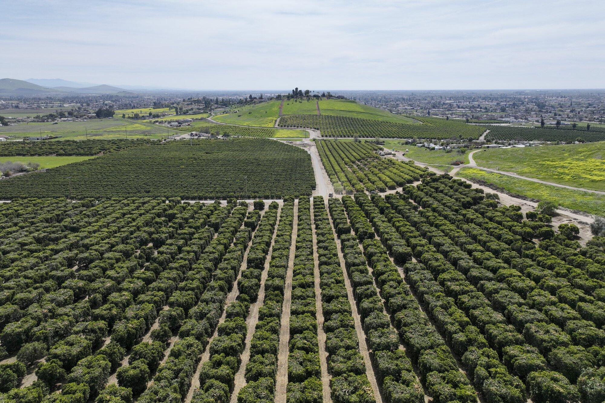 0 W Reid Ave, Porterville, CA 93257