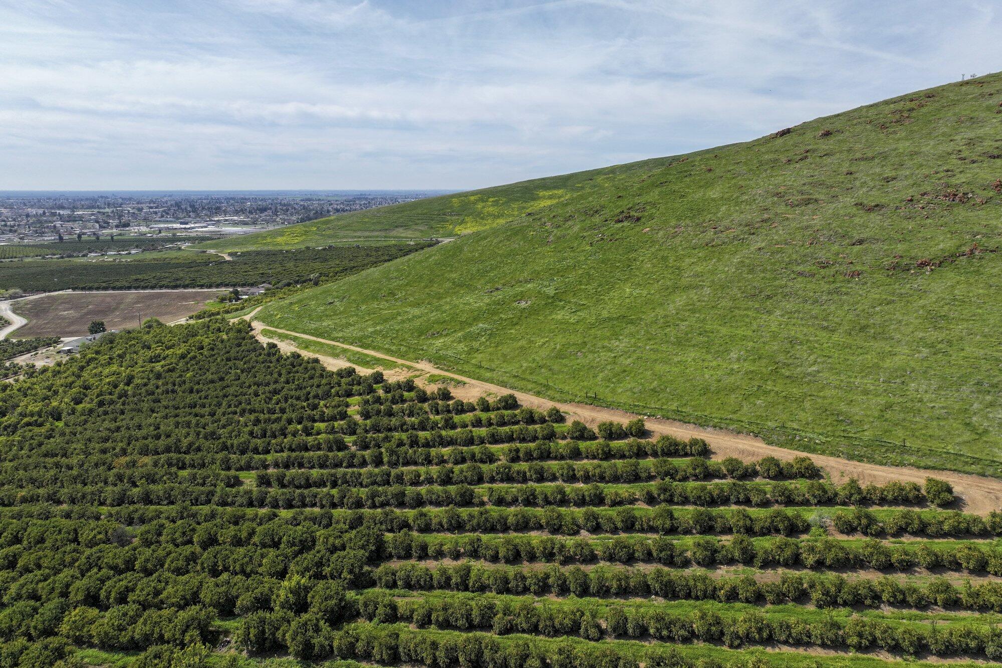 0 W Reid Ave, Porterville, CA 93257