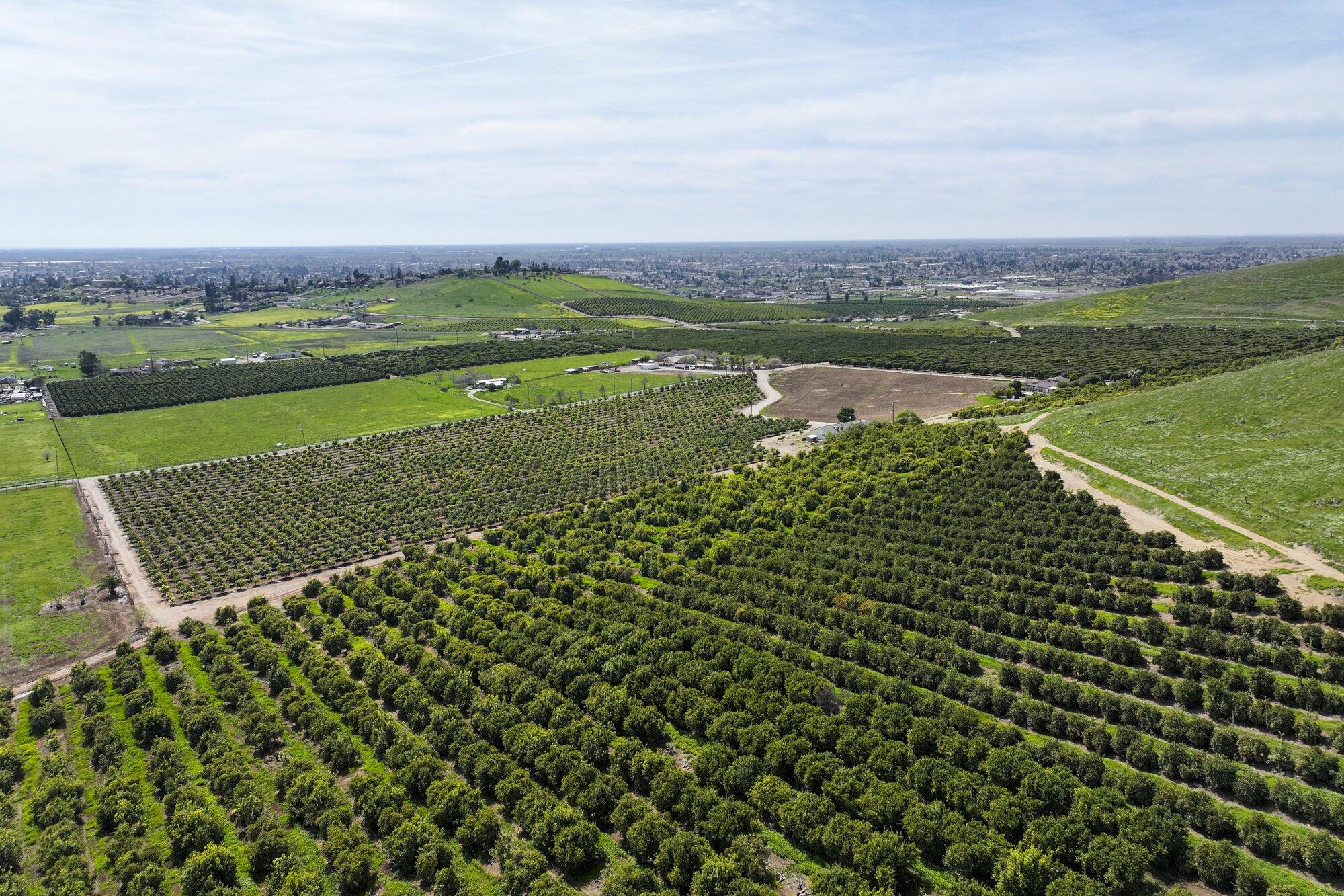 0 W Reid Ave, Porterville, CA 93257