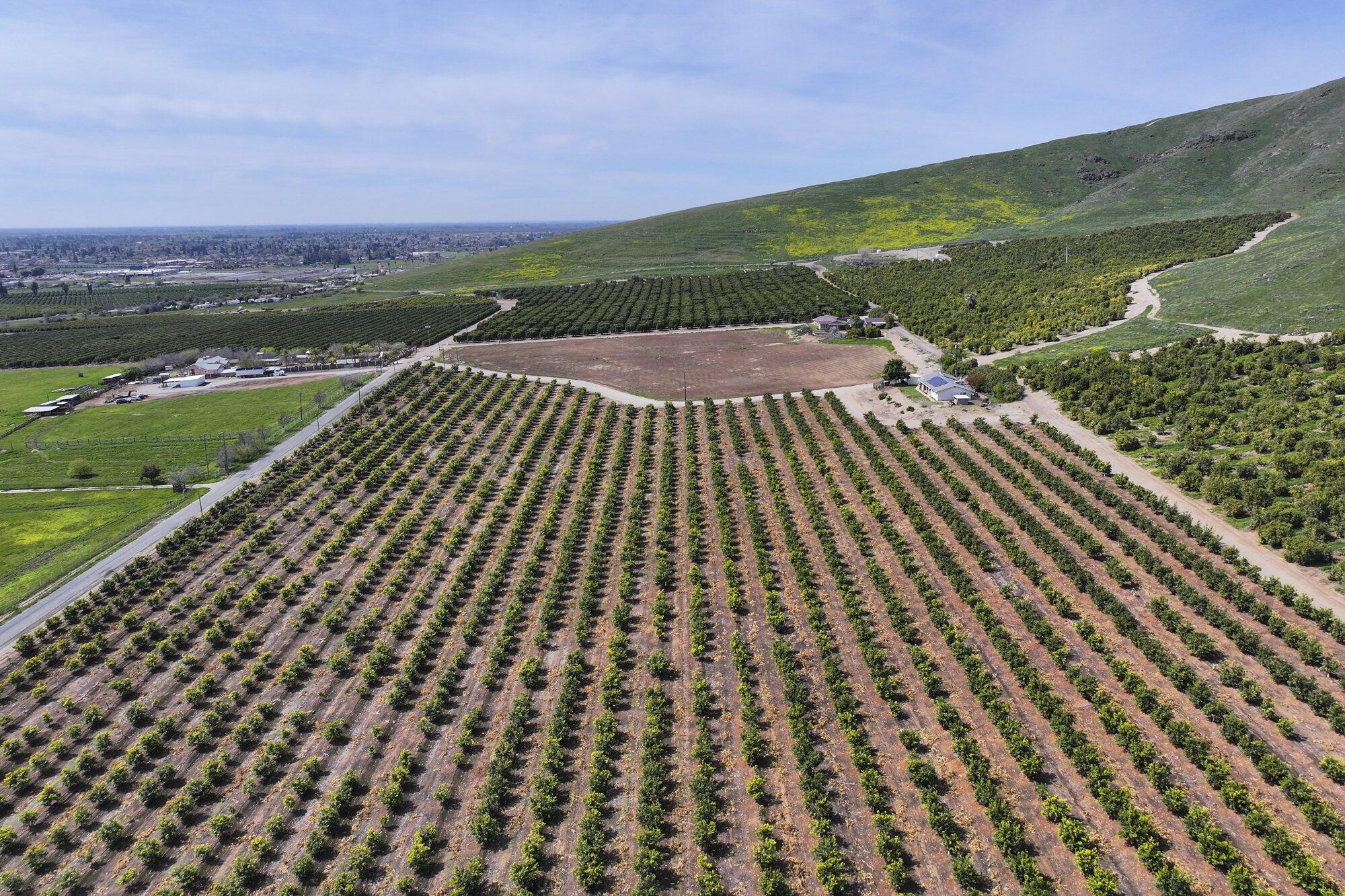 0 W Reid Ave, Porterville, CA 93257