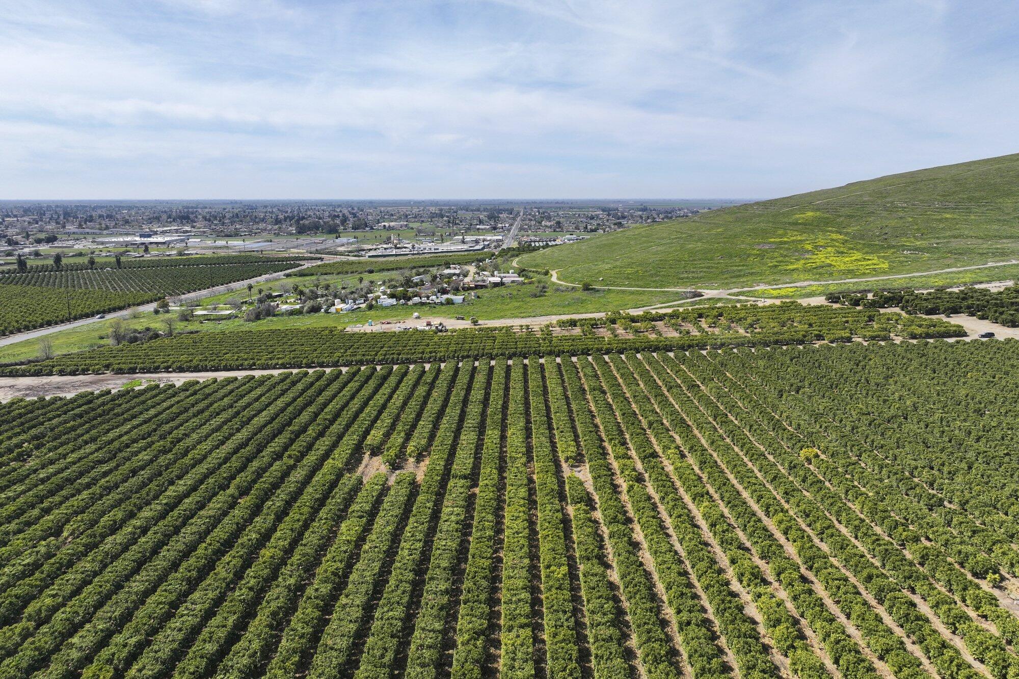 0 W Reid Ave, Porterville, CA 93257