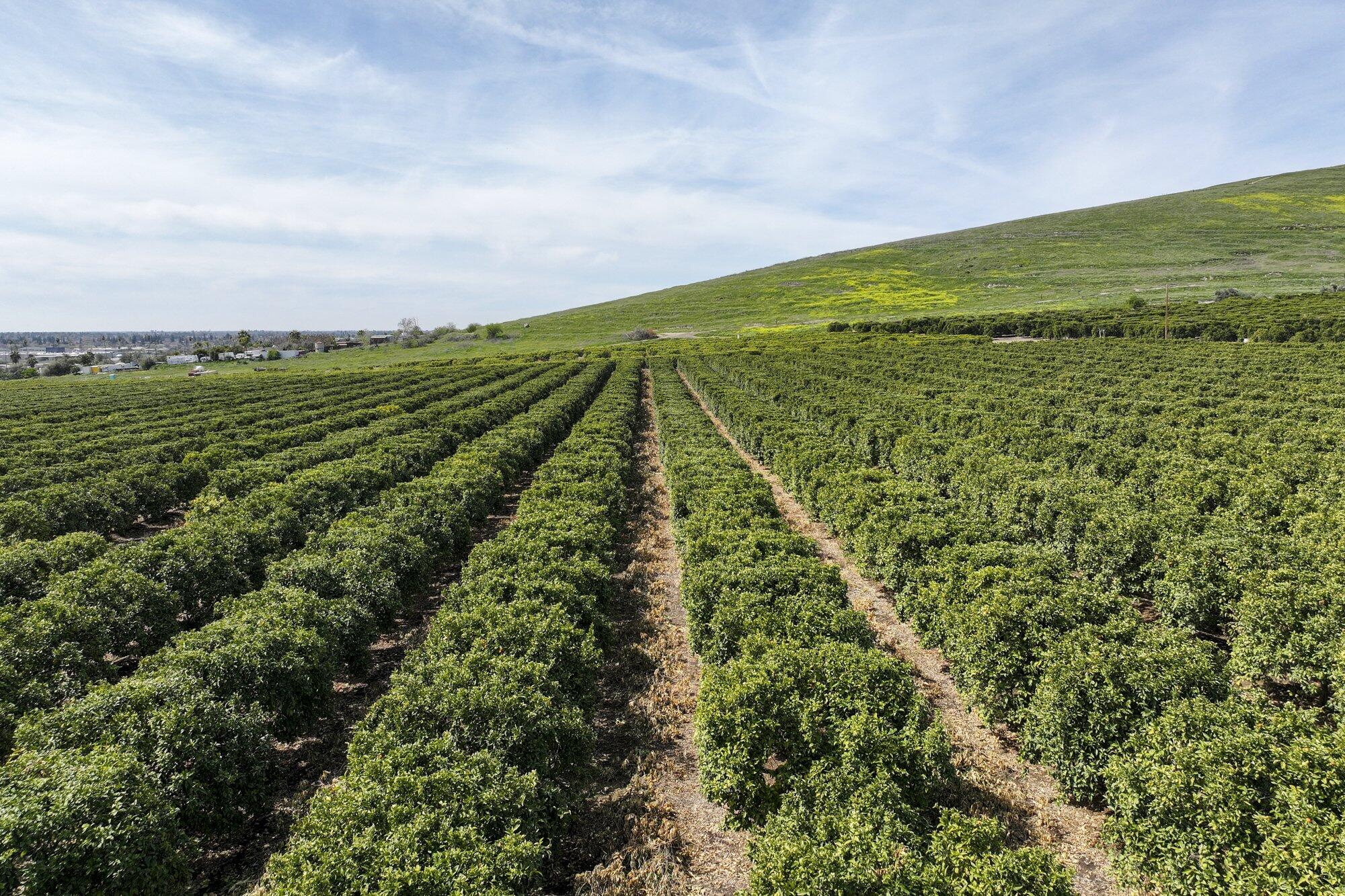 0 W Reid Ave, Porterville, CA 93257