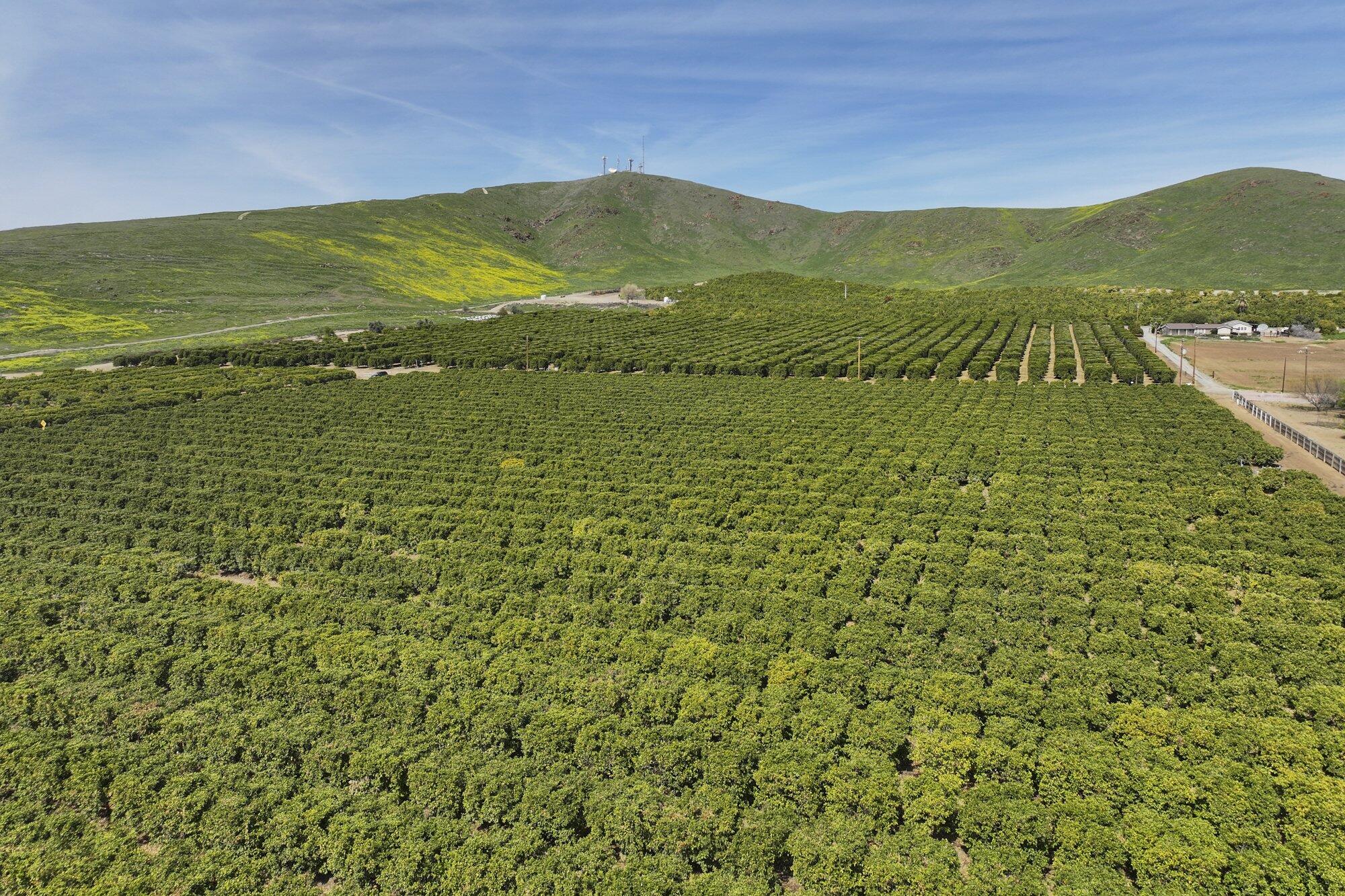 0 W Reid Ave, Porterville, CA 93257