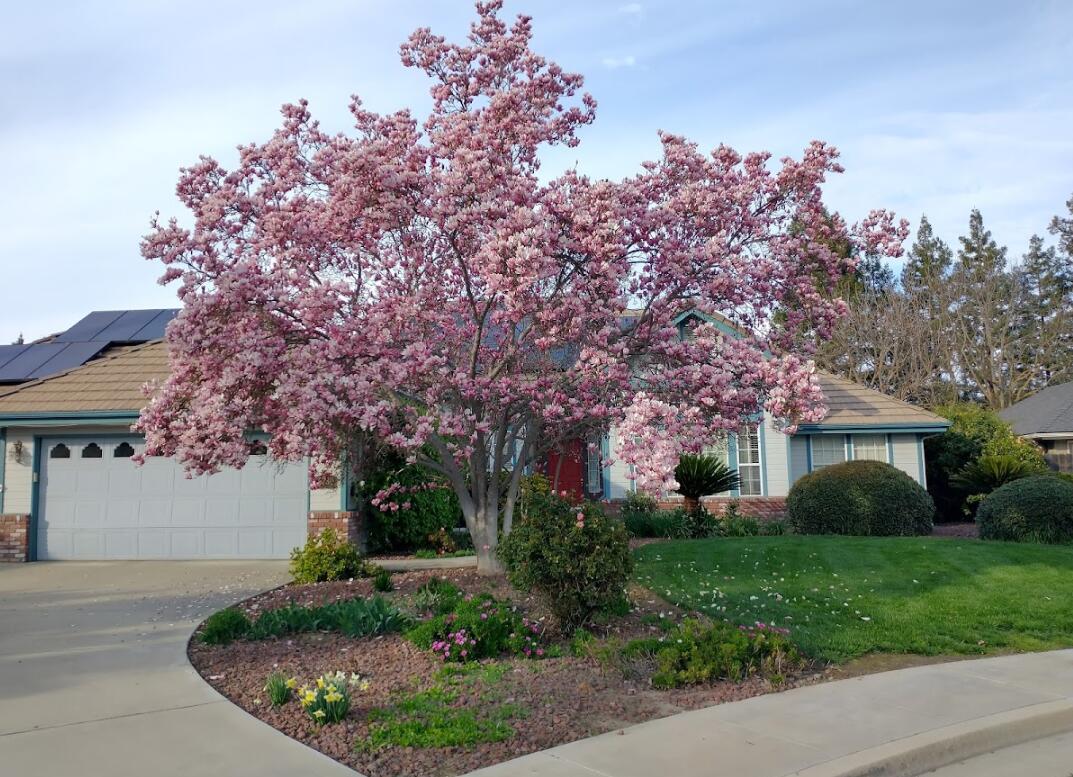 5730 W Laura Ct, Visalia, CA 93277