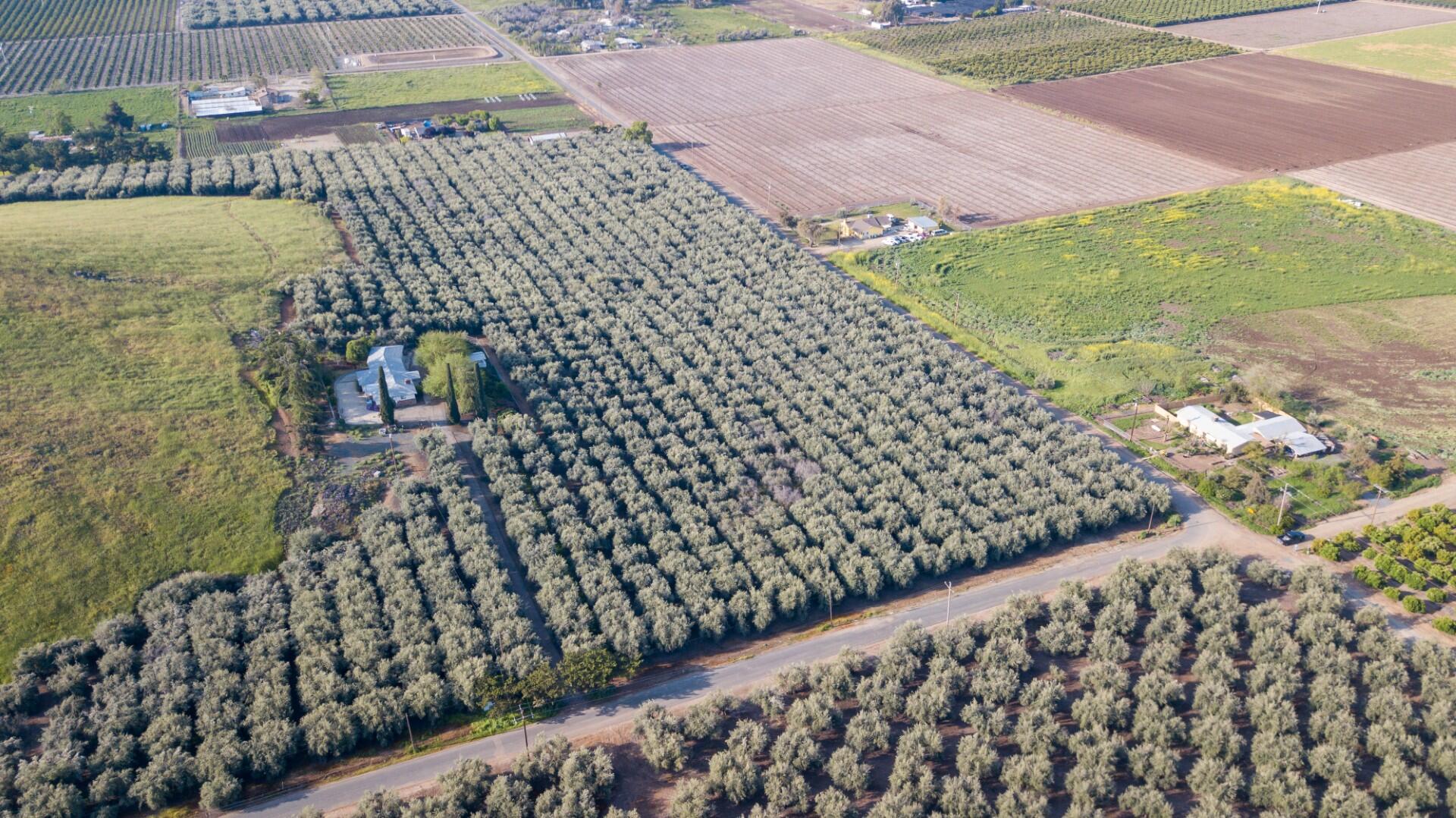 24257 Avenue 234, Lindsay, CA 93247