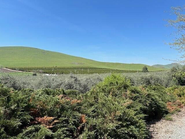 24257 Avenue 234, Lindsay, CA 93247