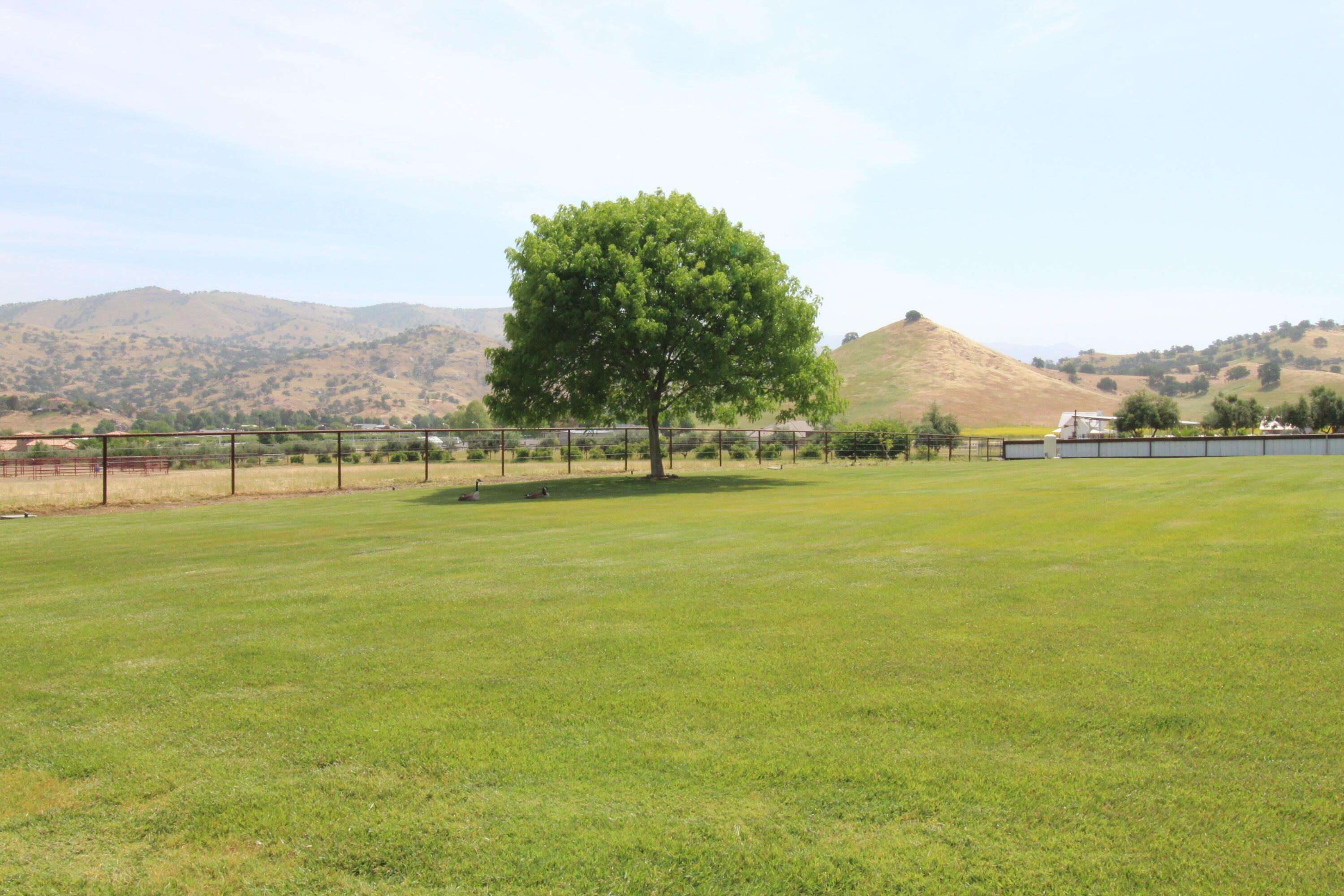 31417 Dahlem Dr, Exeter, CA 93221