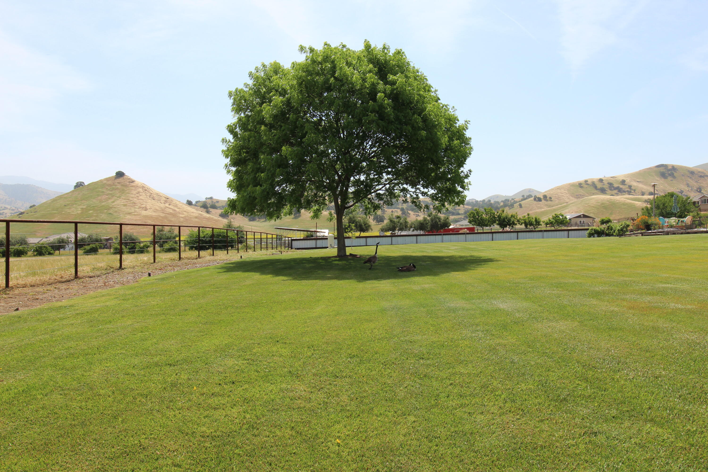 31417 Dahlem Dr, Exeter, CA 93221