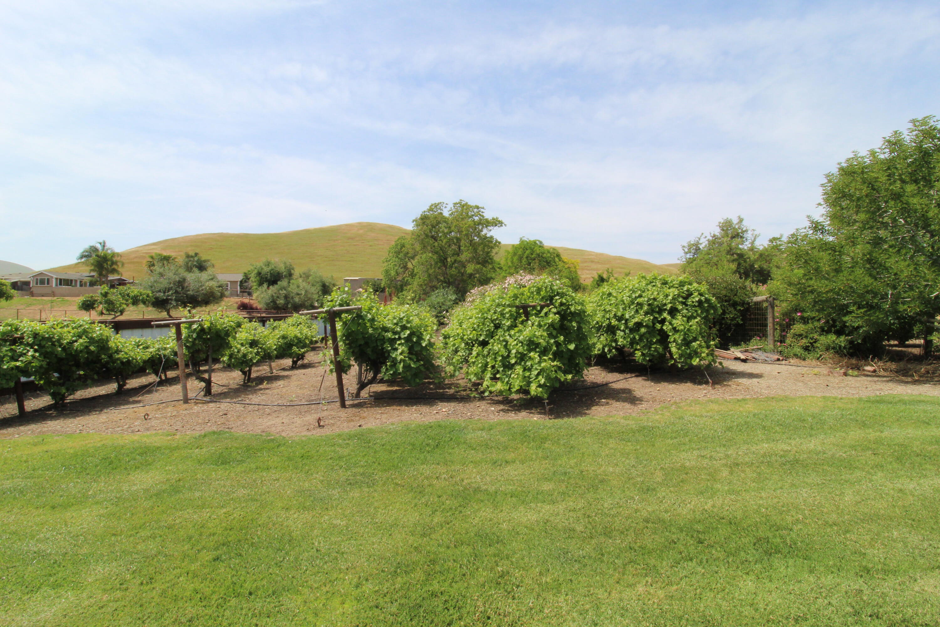 31417 Dahlem Dr, Exeter, CA 93221