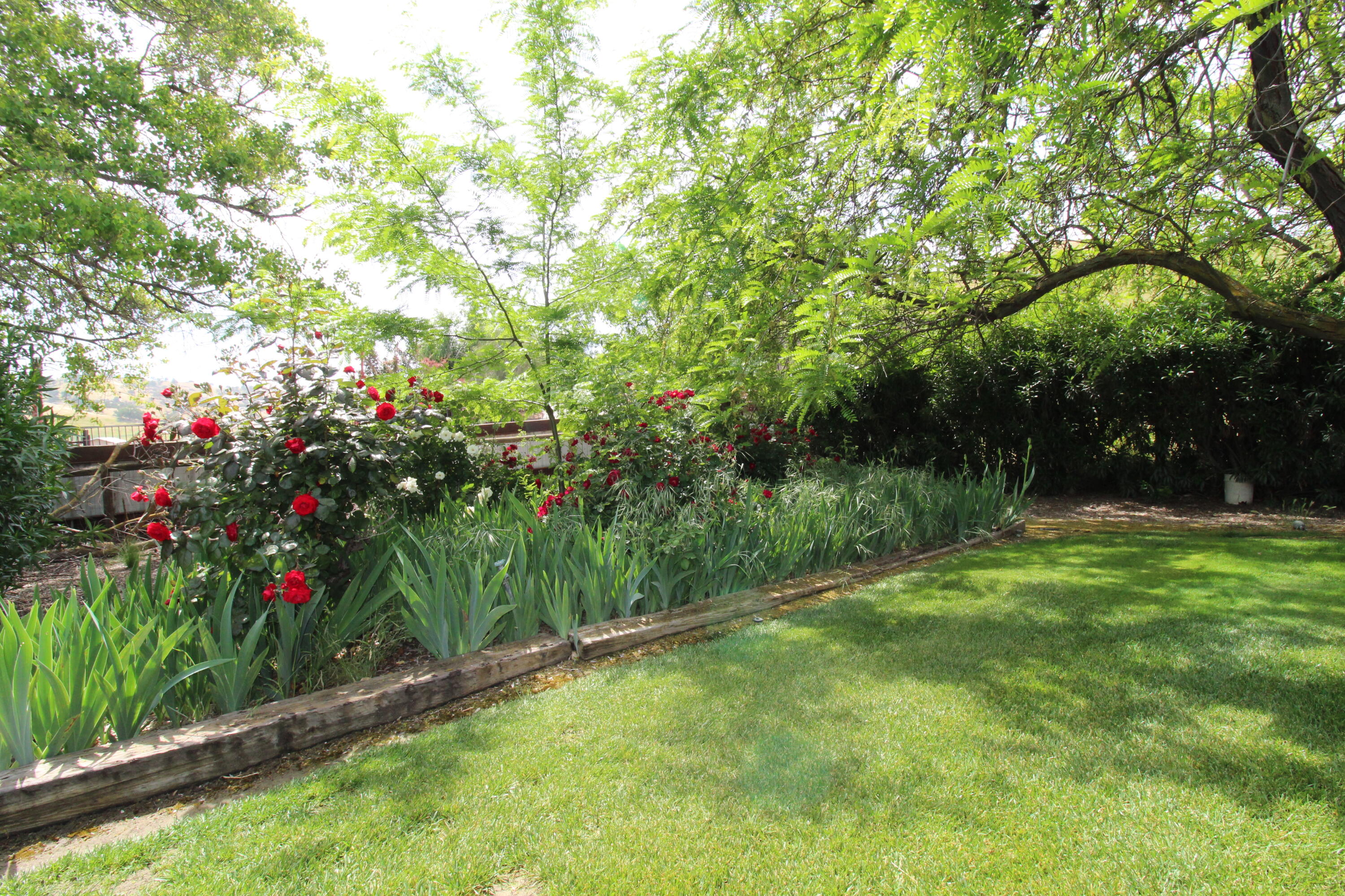 31417 Dahlem Dr, Exeter, CA 93221