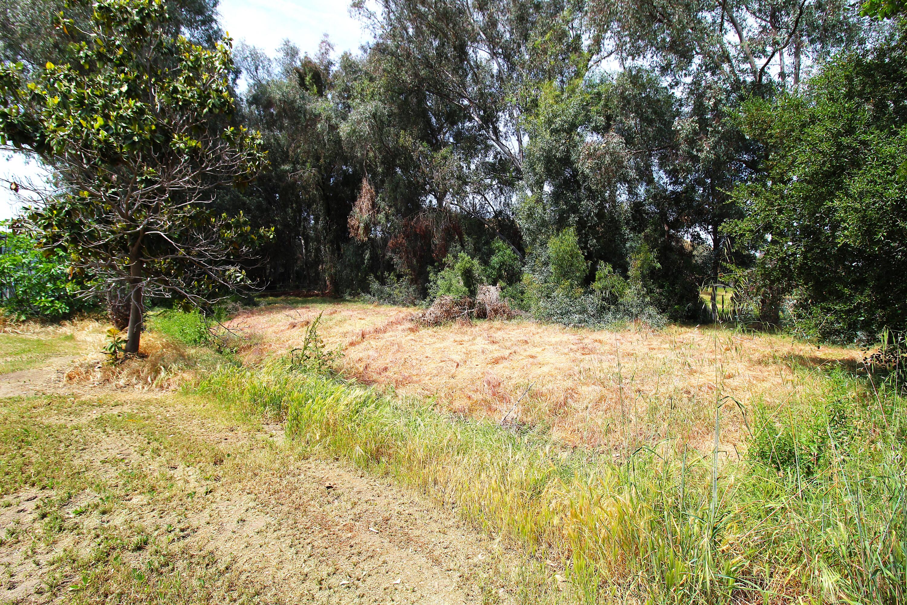 31417 Dahlem Dr, Exeter, CA 93221