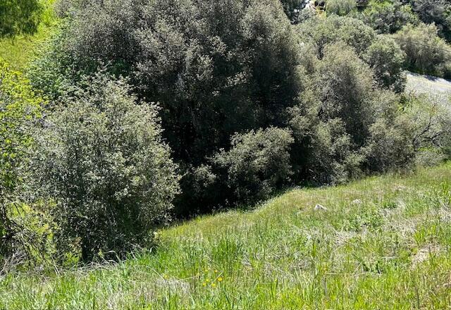 27 & 28 Capanero Oaks Ct, California Hot Springs, CA 93207