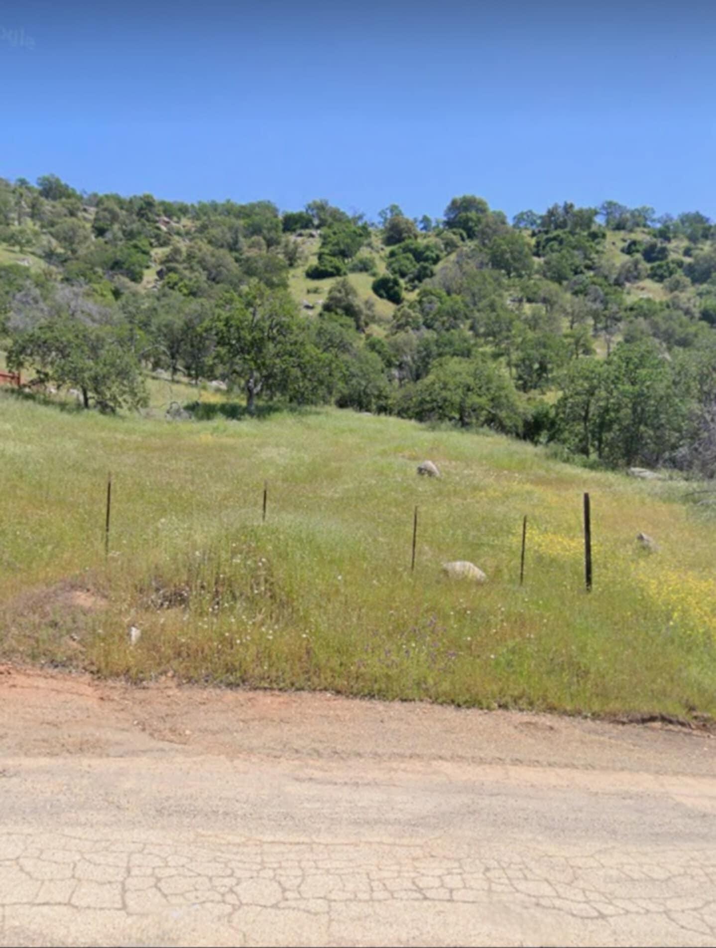 Lot 462 Iris Rd, Squaw Valley, CA 93675