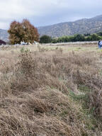 0 Globe Dr, Springville, CA 93265